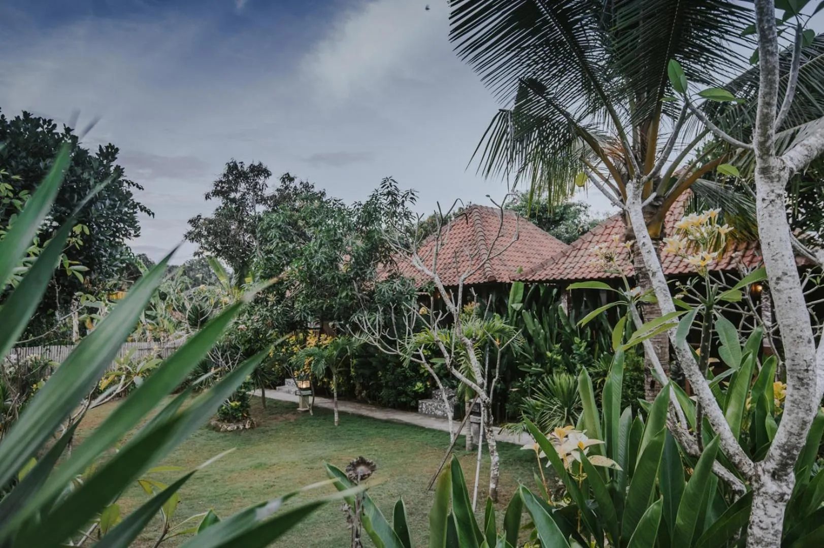 Garden in Nerima Hut Lembongan