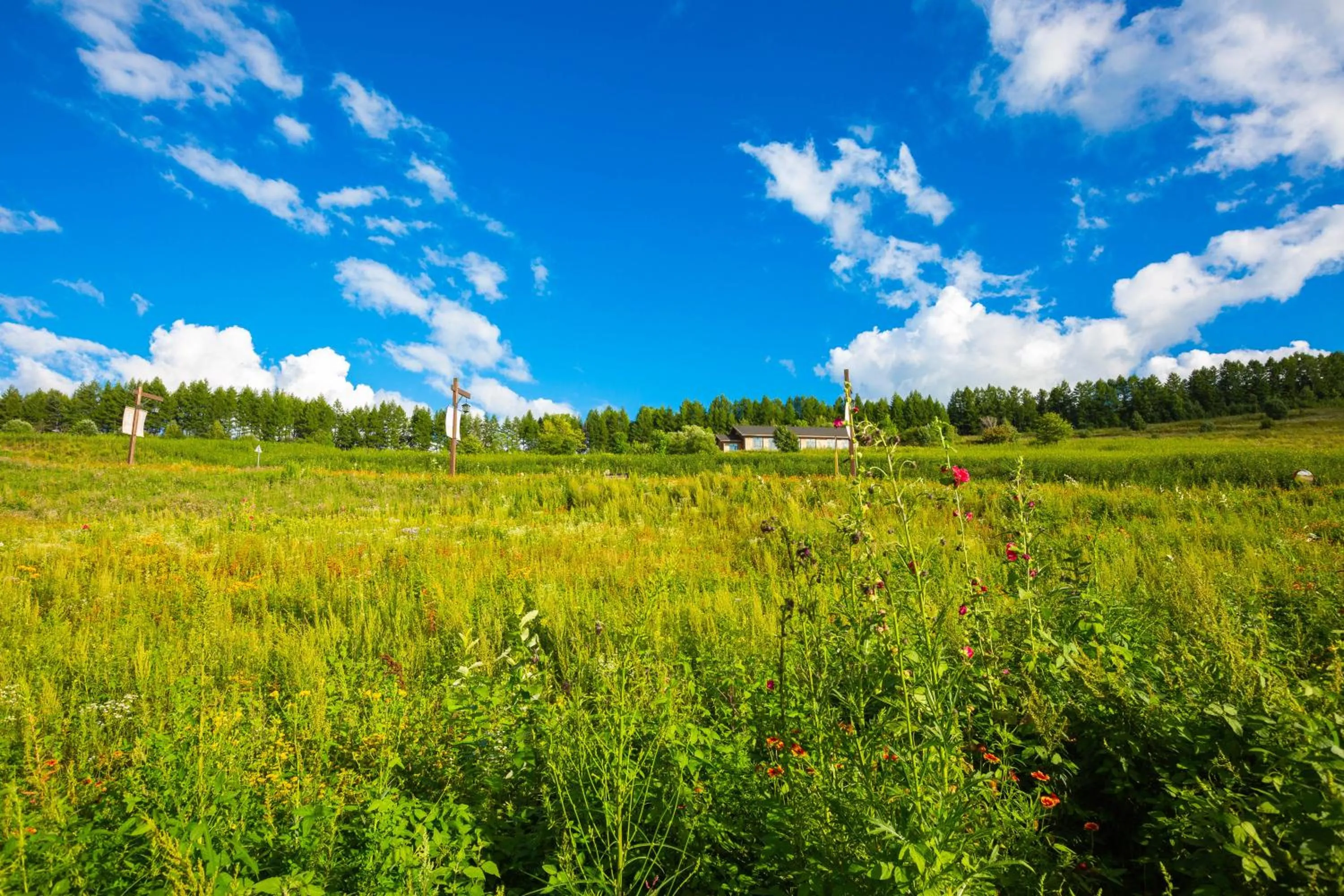Spring in The View Hotel Changbai Mountain - MGallery Collection