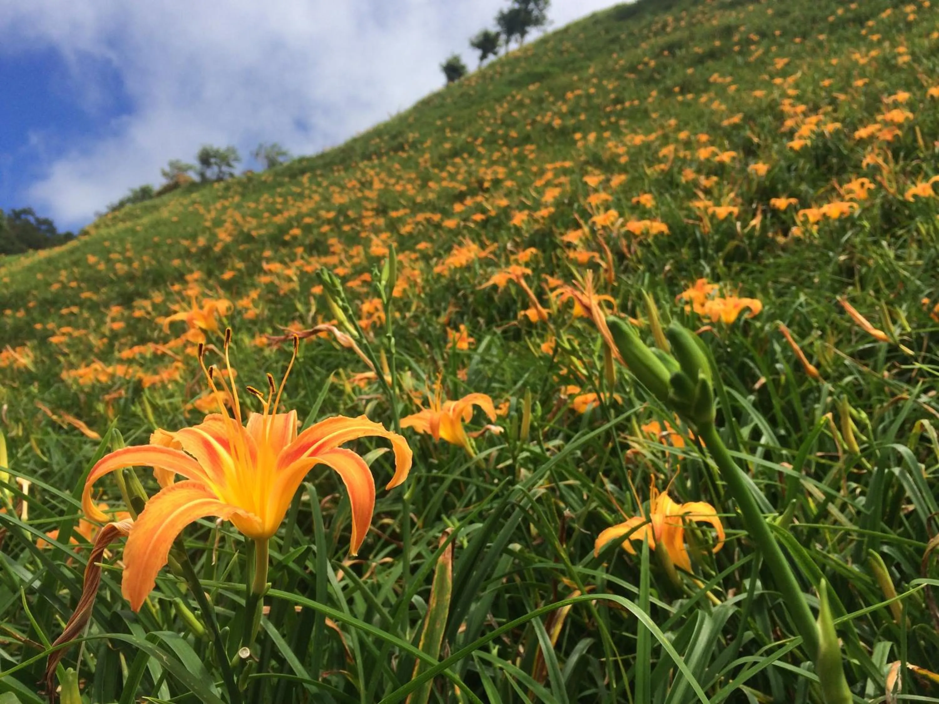 Summer in Taimali Hotel