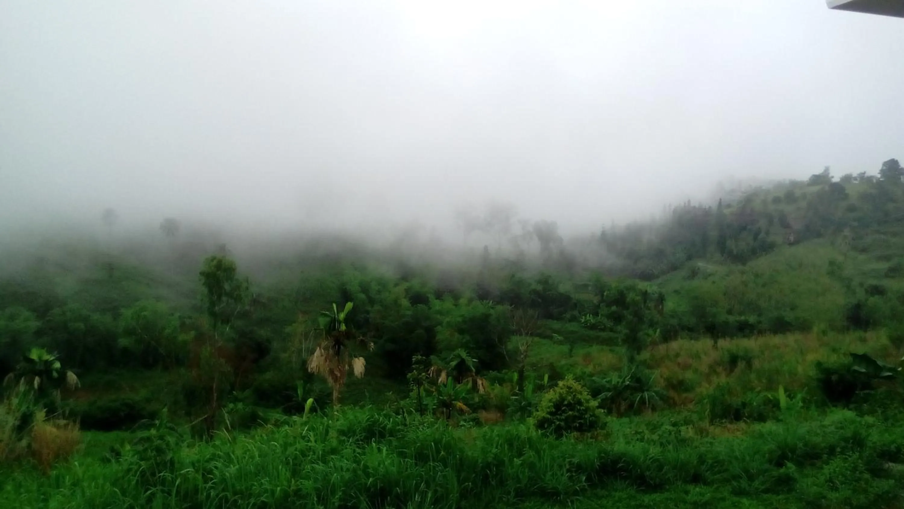 Mountain view in Lovely Farm