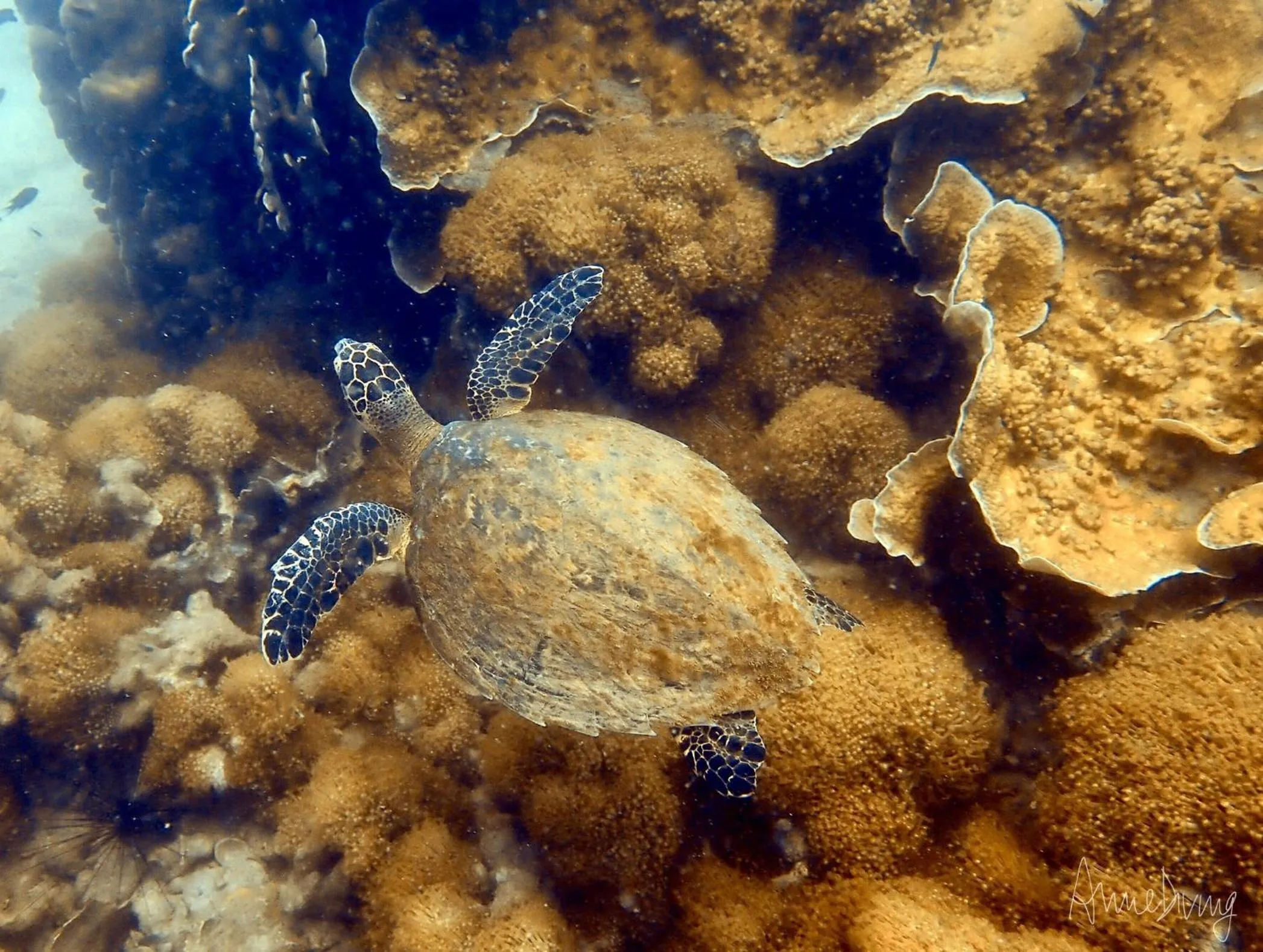 Activities in Kinnaree Resort Koh Kood