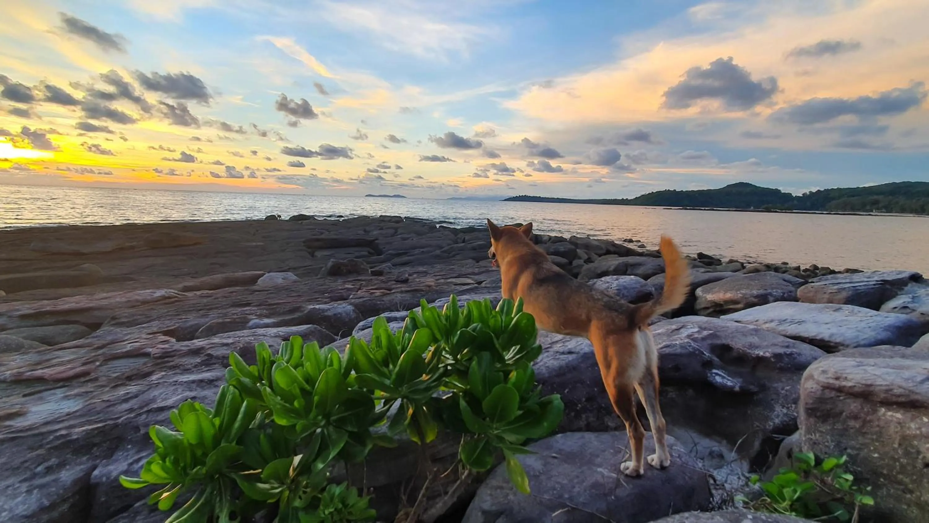 Sea view in Kinnaree Resort Koh Kood