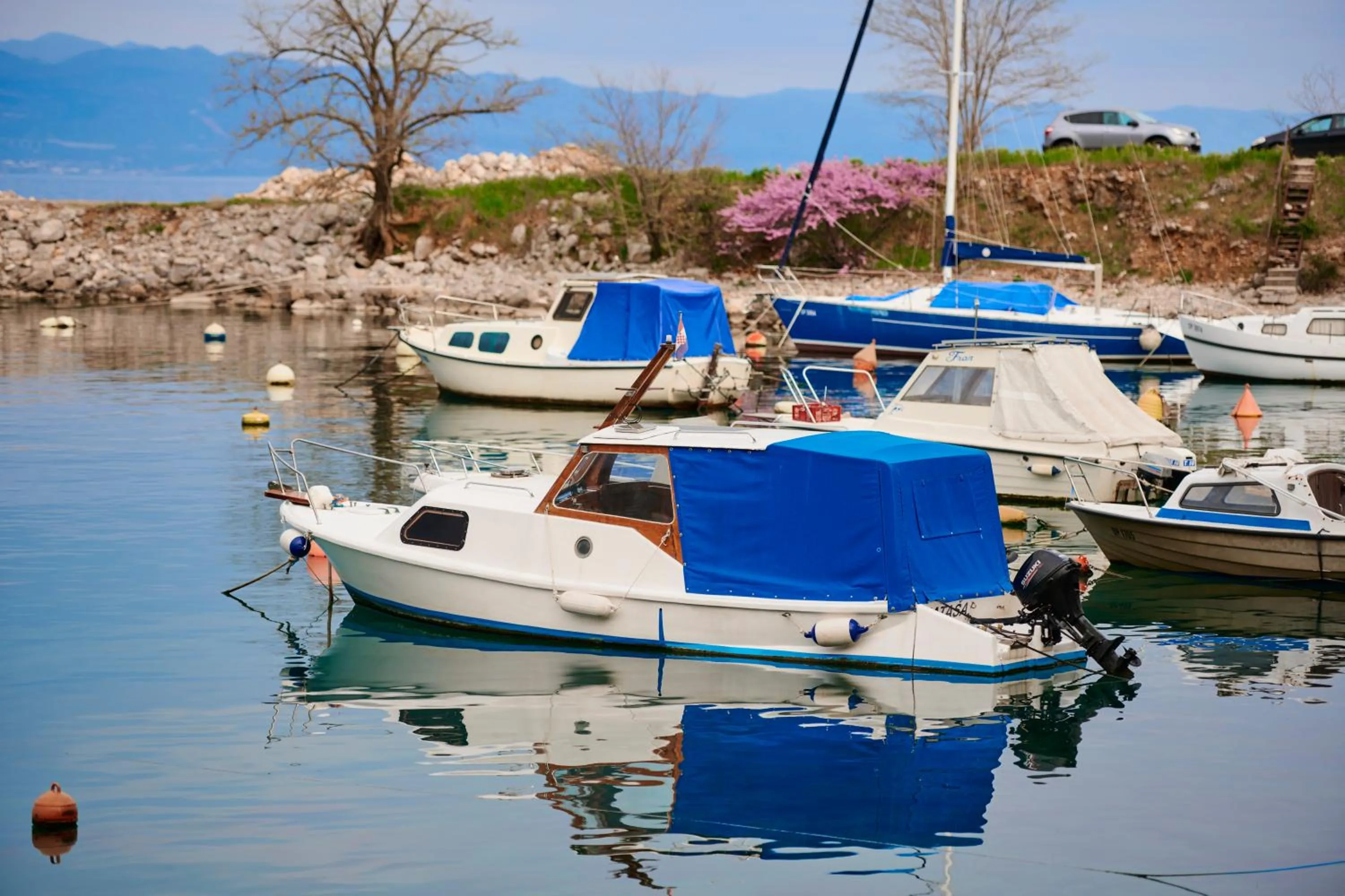 Area and facilities in Hotel Villa Schubert