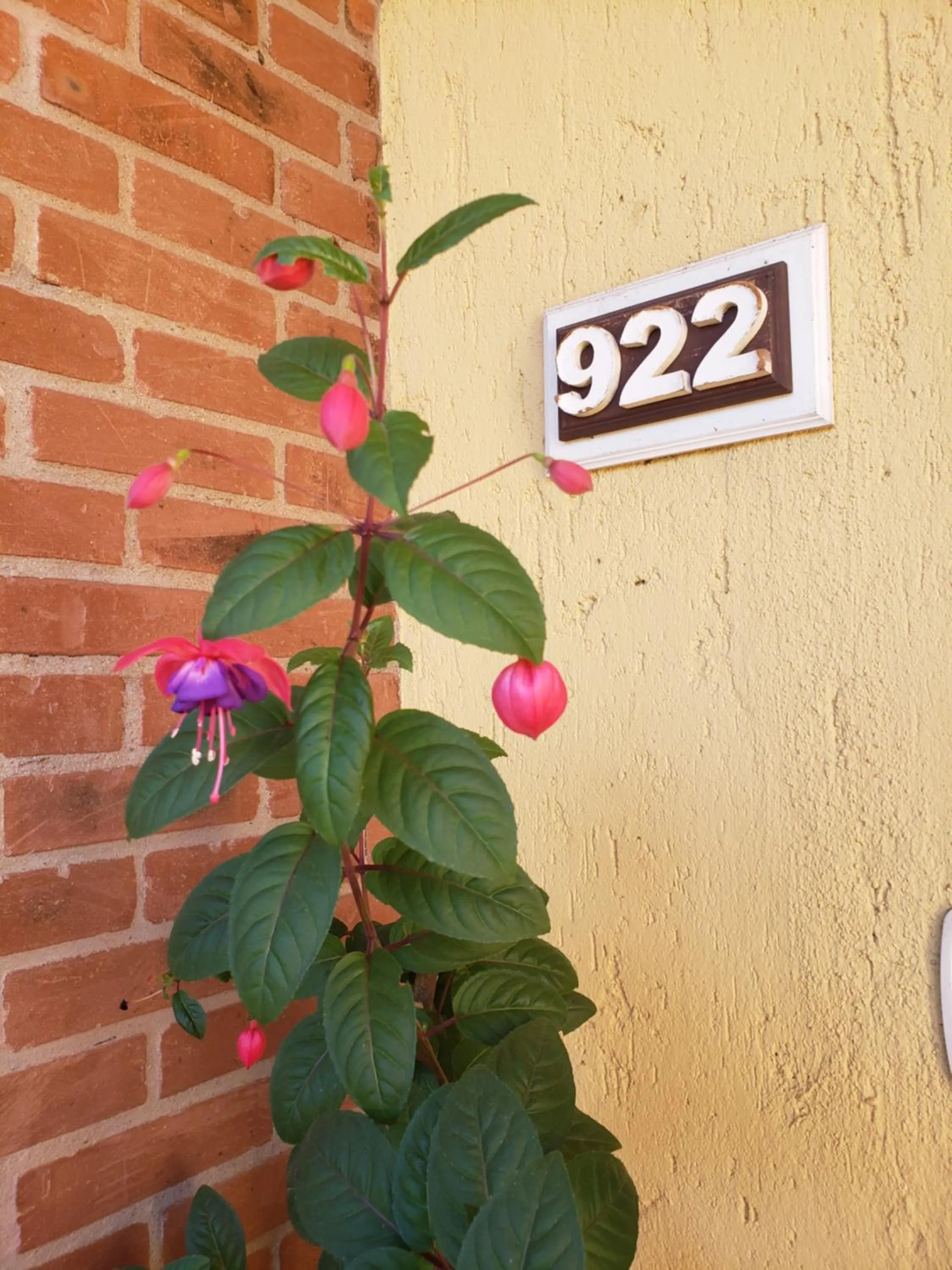 Garden in Apartamento Flor de Canela