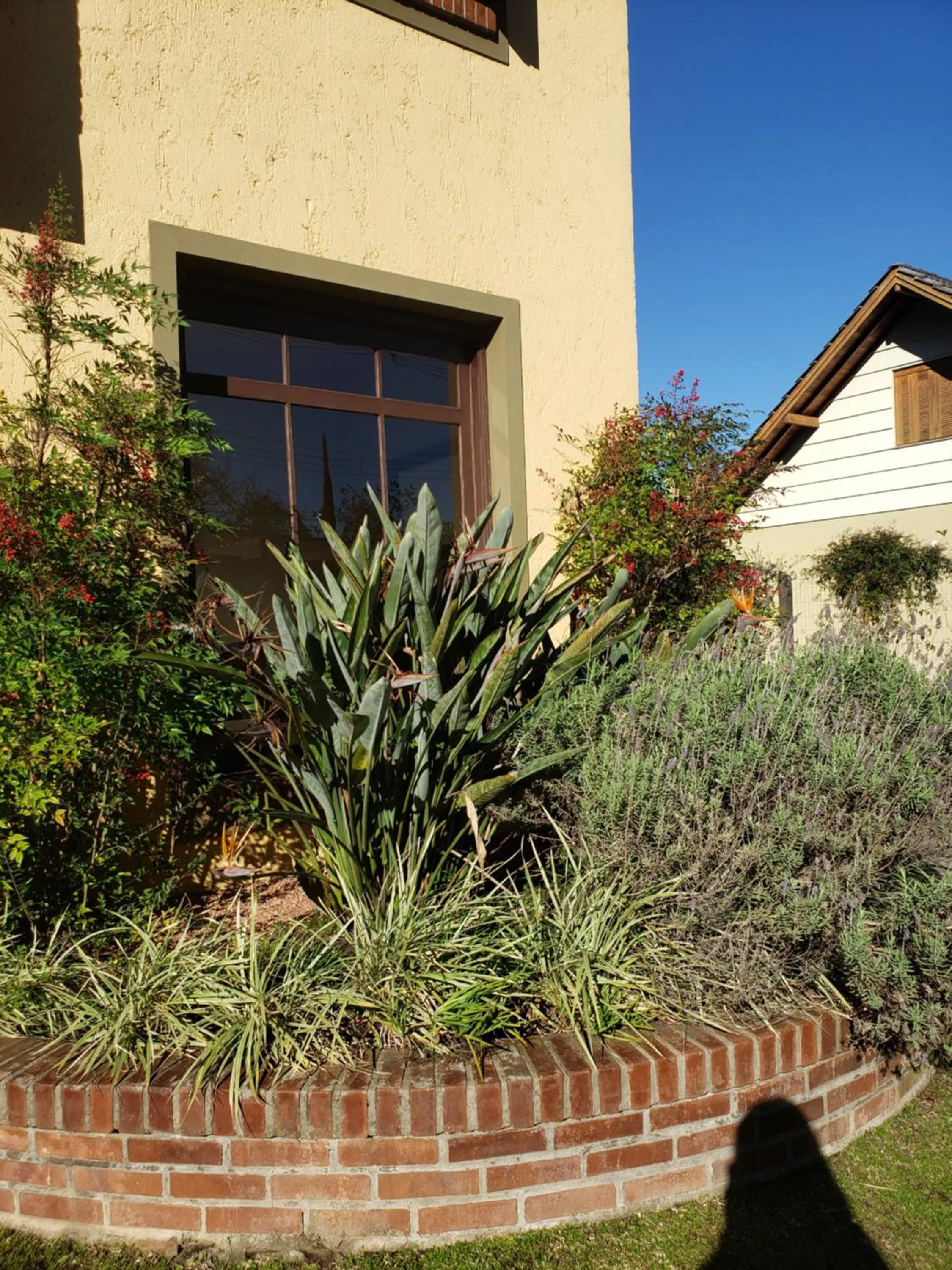 Garden in Apartamento Flor de Canela