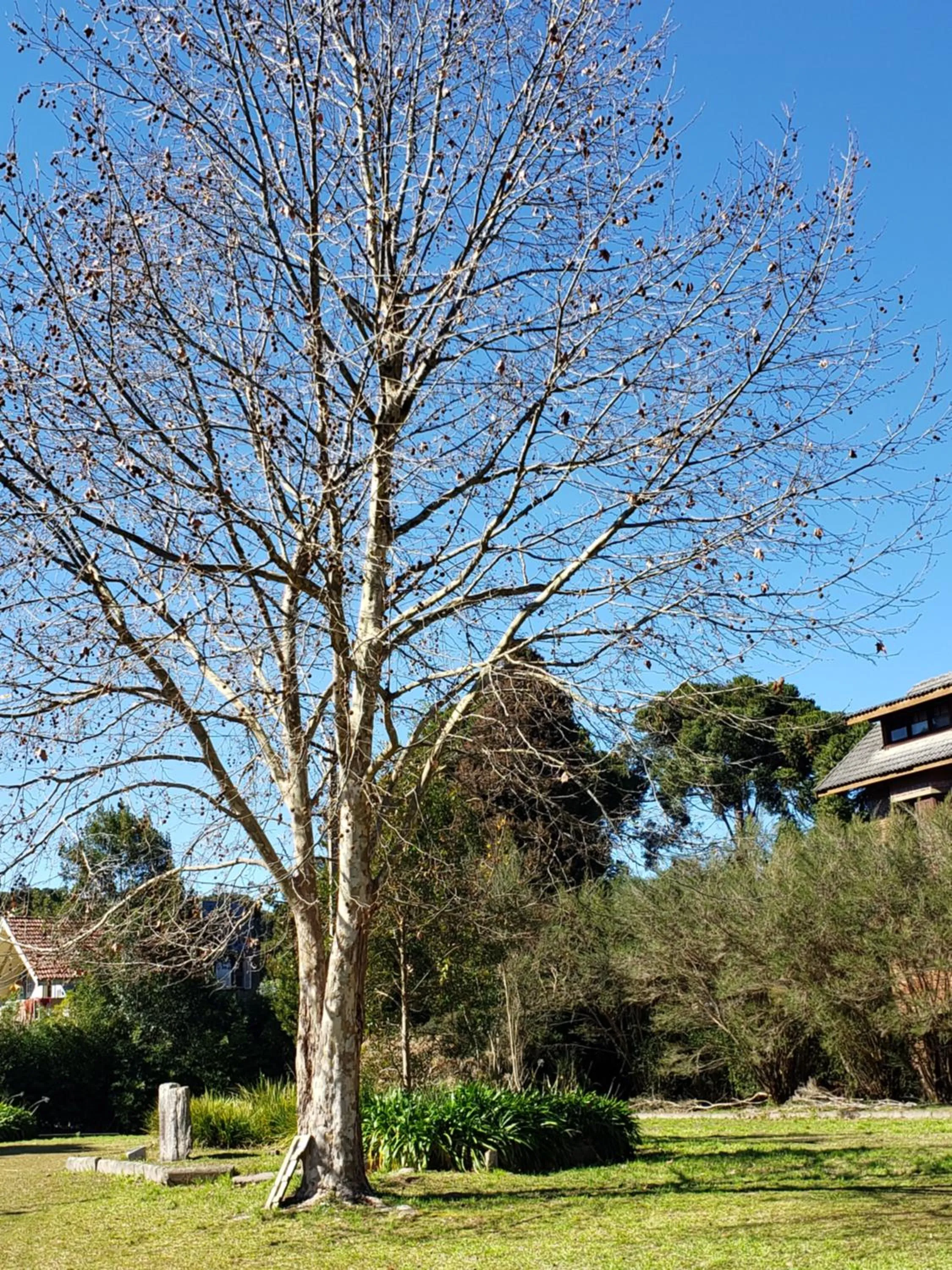 Natural landscape in Apartamento Flor de Canela