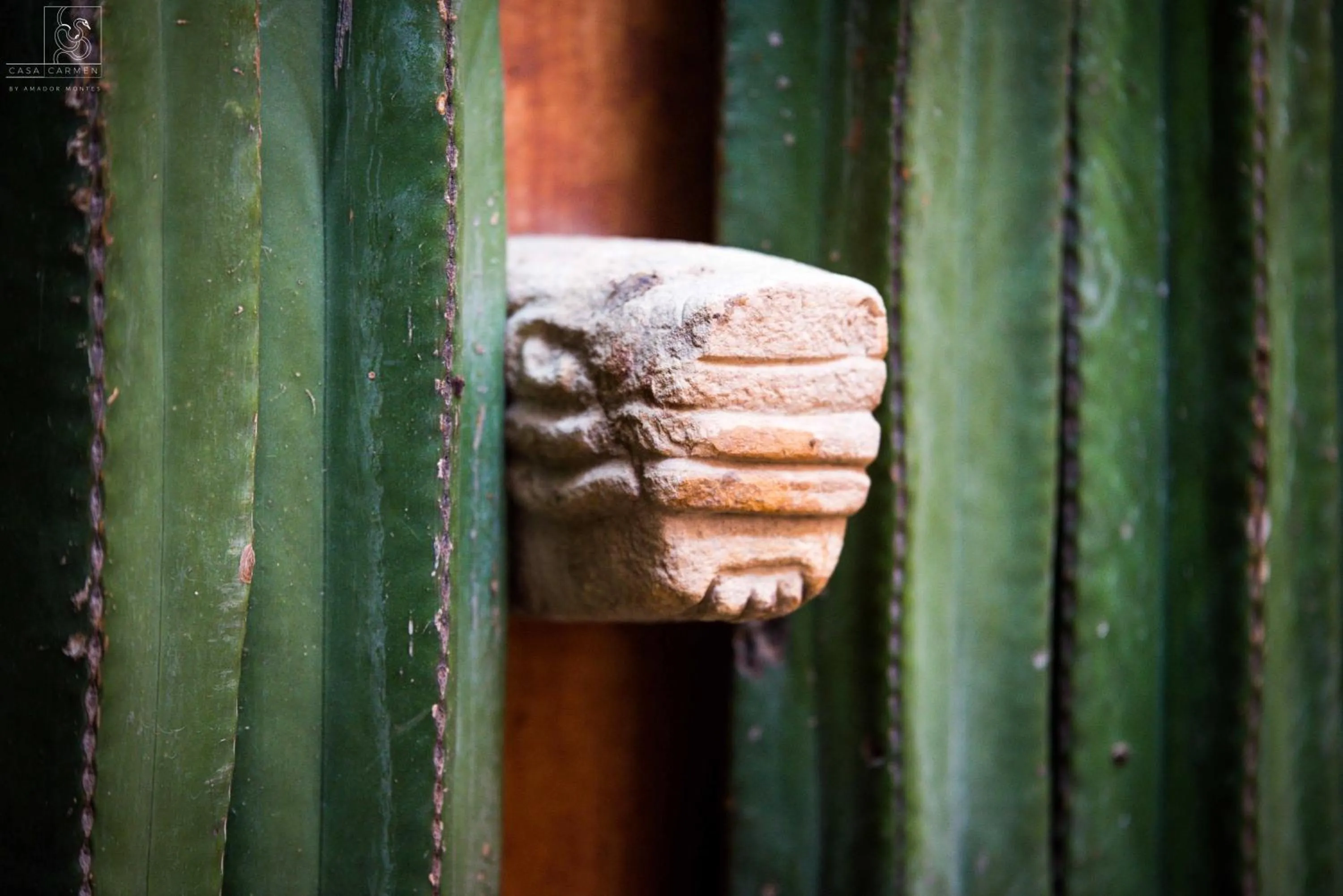 Patio in Casa Carmen Reforma