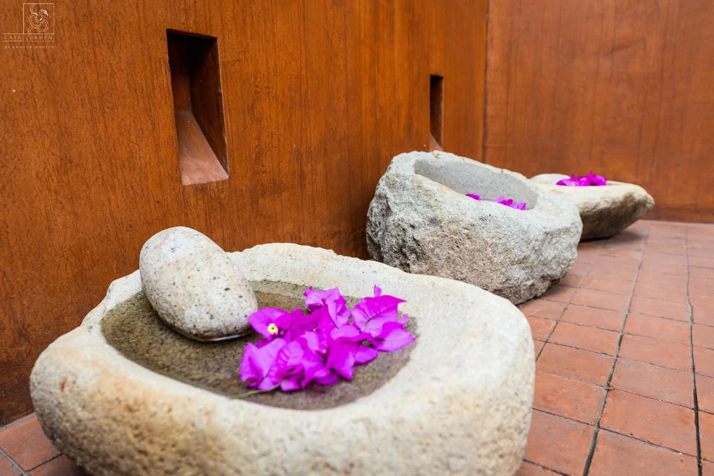 Balcony/Terrace in Casa Carmen Reforma