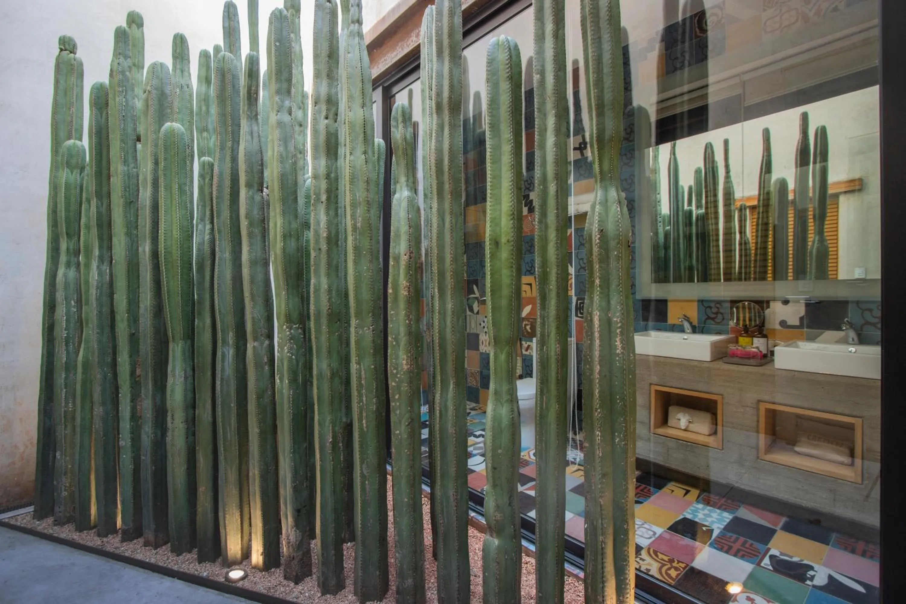 Patio in Casa Carmen Reforma