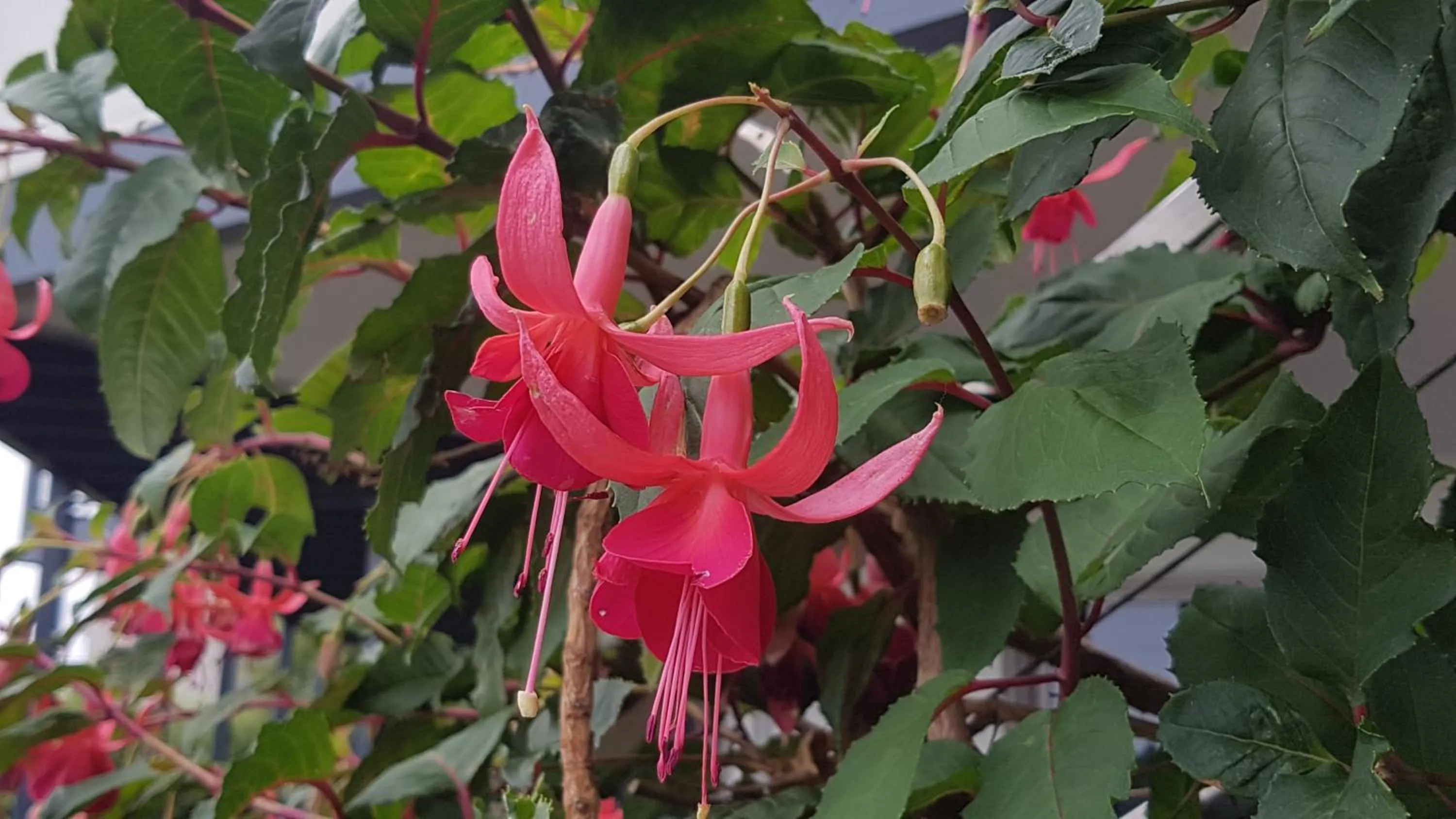 Inner courtyard view in Lewi Waters