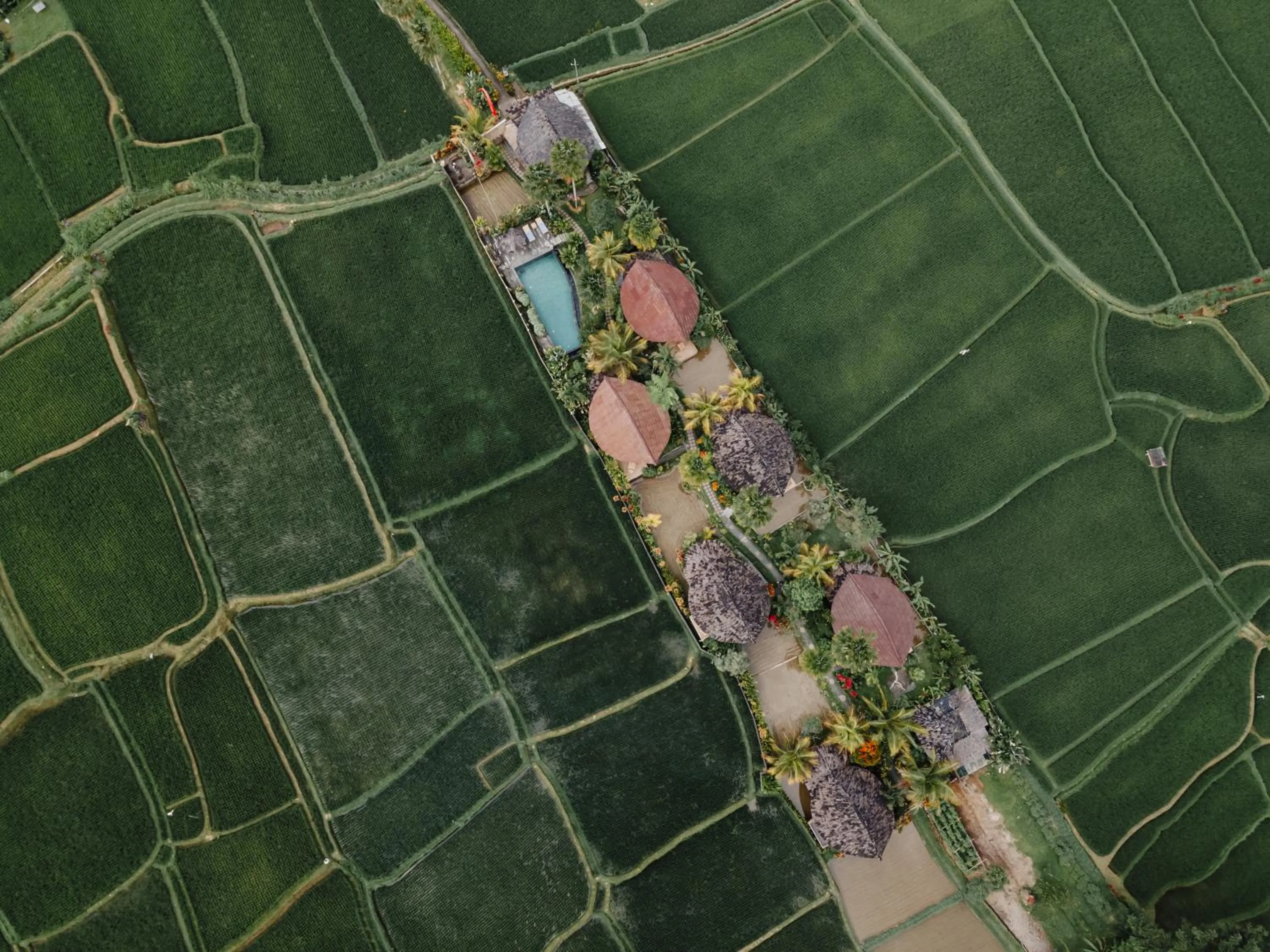 Bird's eye view in Padi Bali Retreat