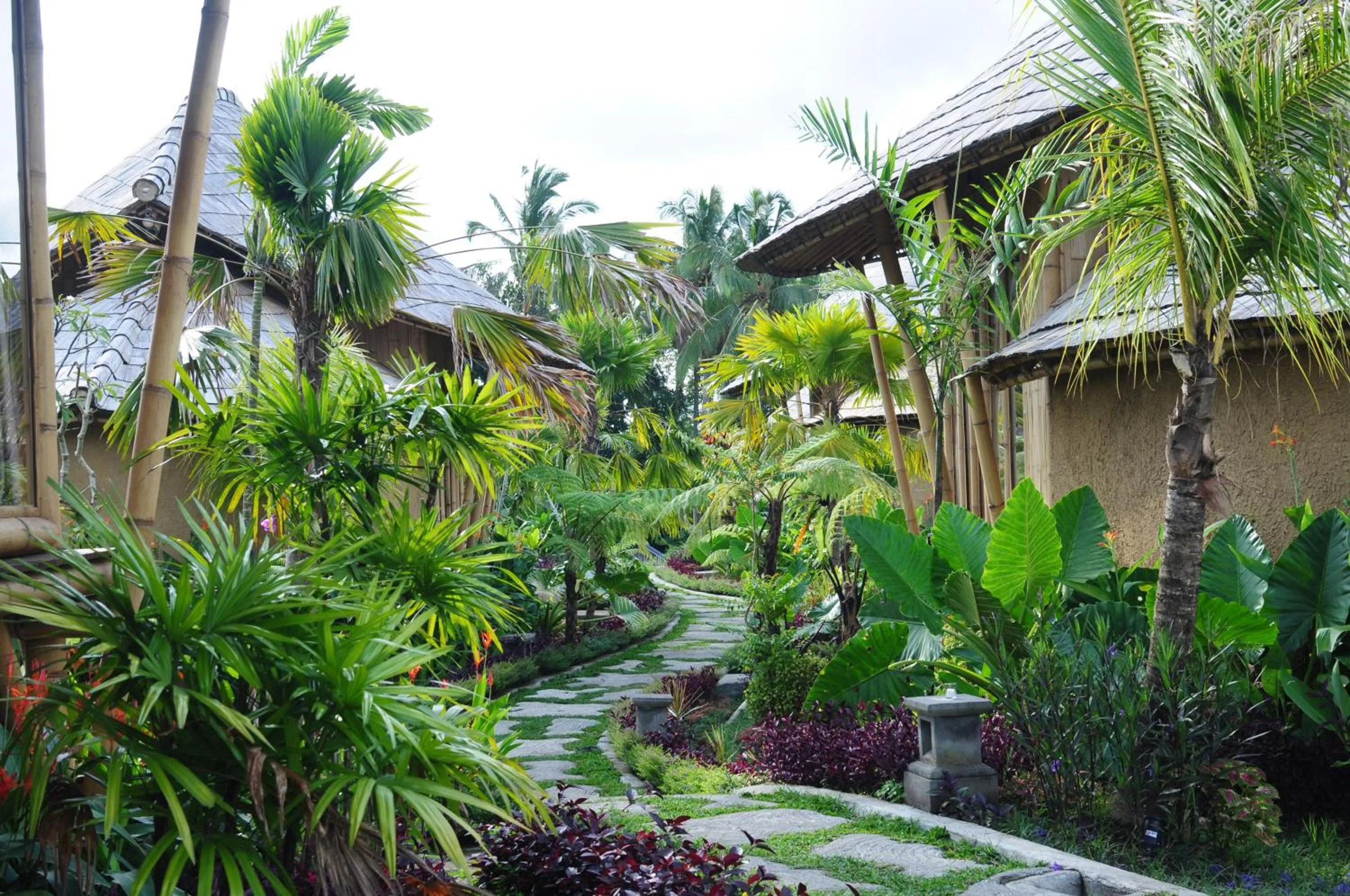 Natural landscape in Padi Bali Retreat