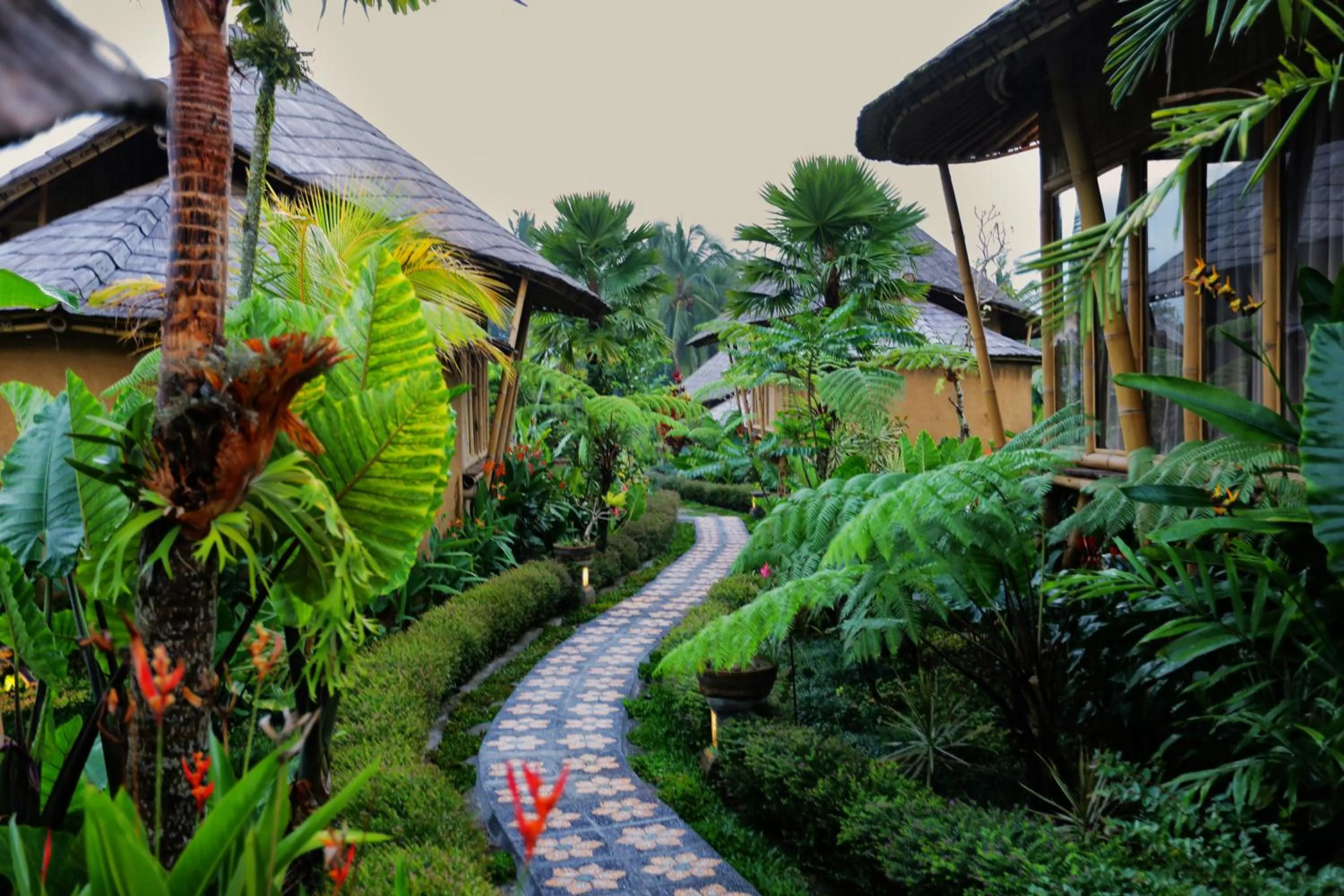 Garden in Padi Bali Retreat