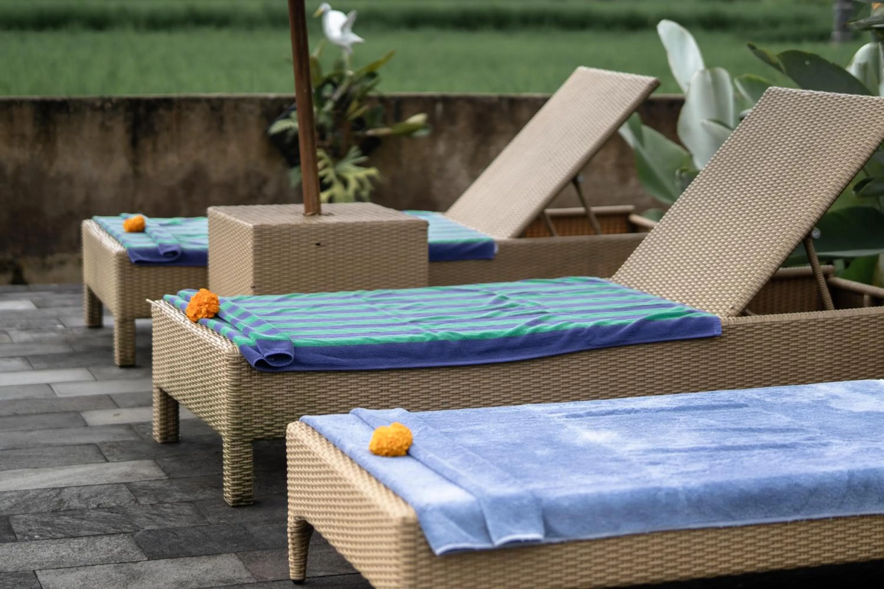 Garden in Padi Bali Retreat