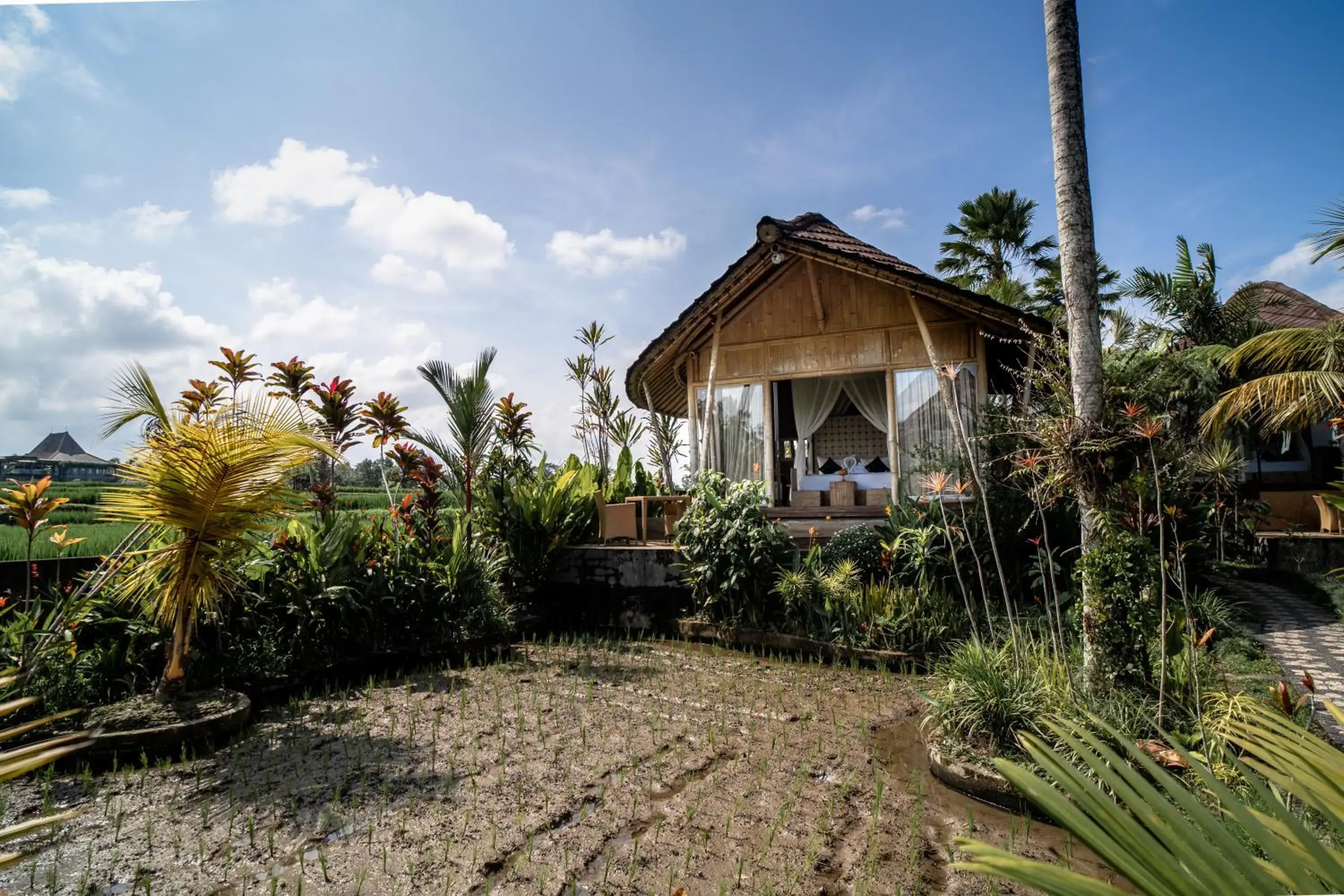 One-Bedroom Rice Paddy View with Bathtub in Padi Bali Retreat One-Bedroom Rice Paddy View with Bathtub in Padi Bali Retreat