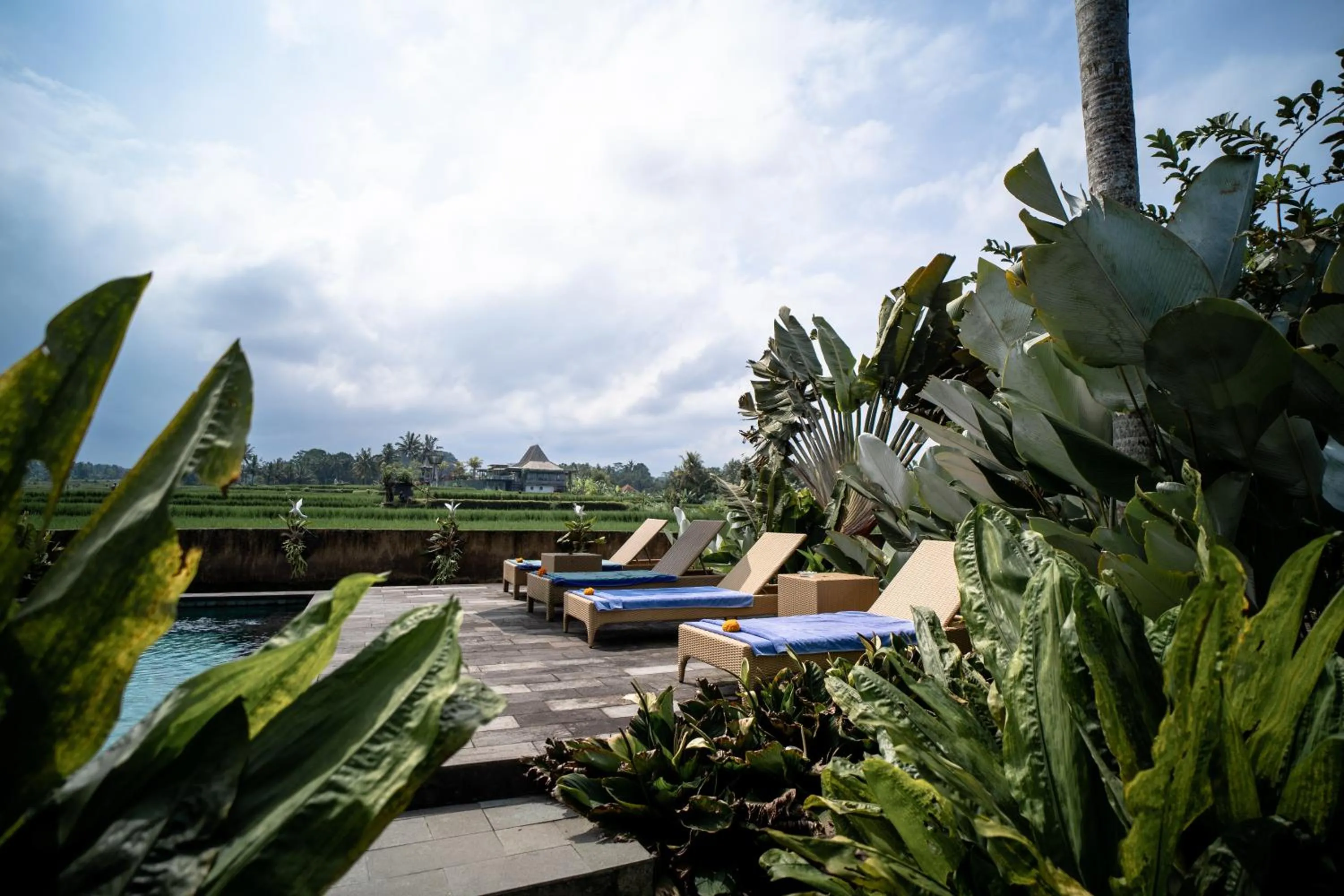 Patio in Padi Bali Retreat
