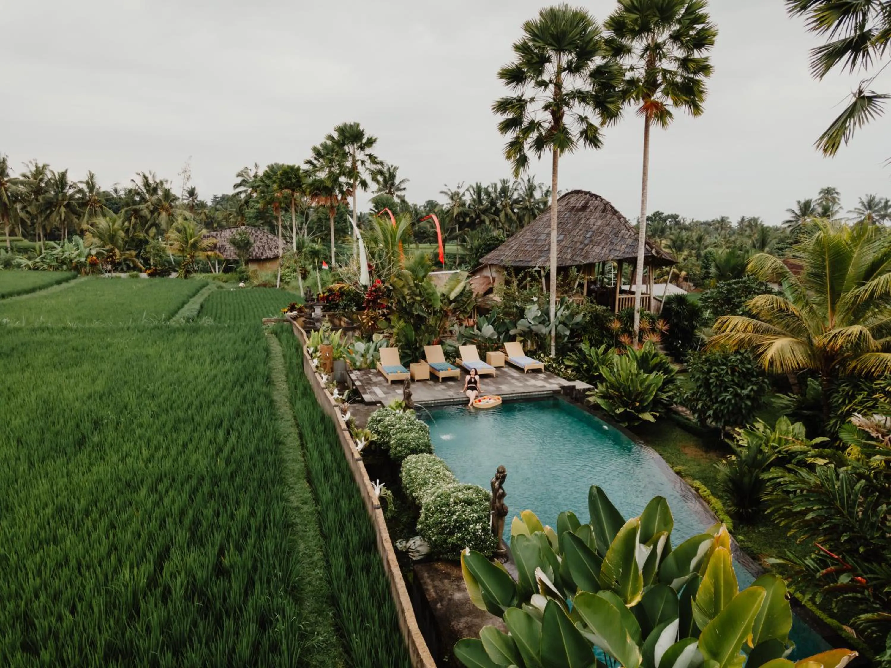 Spring in Padi Bali Retreat