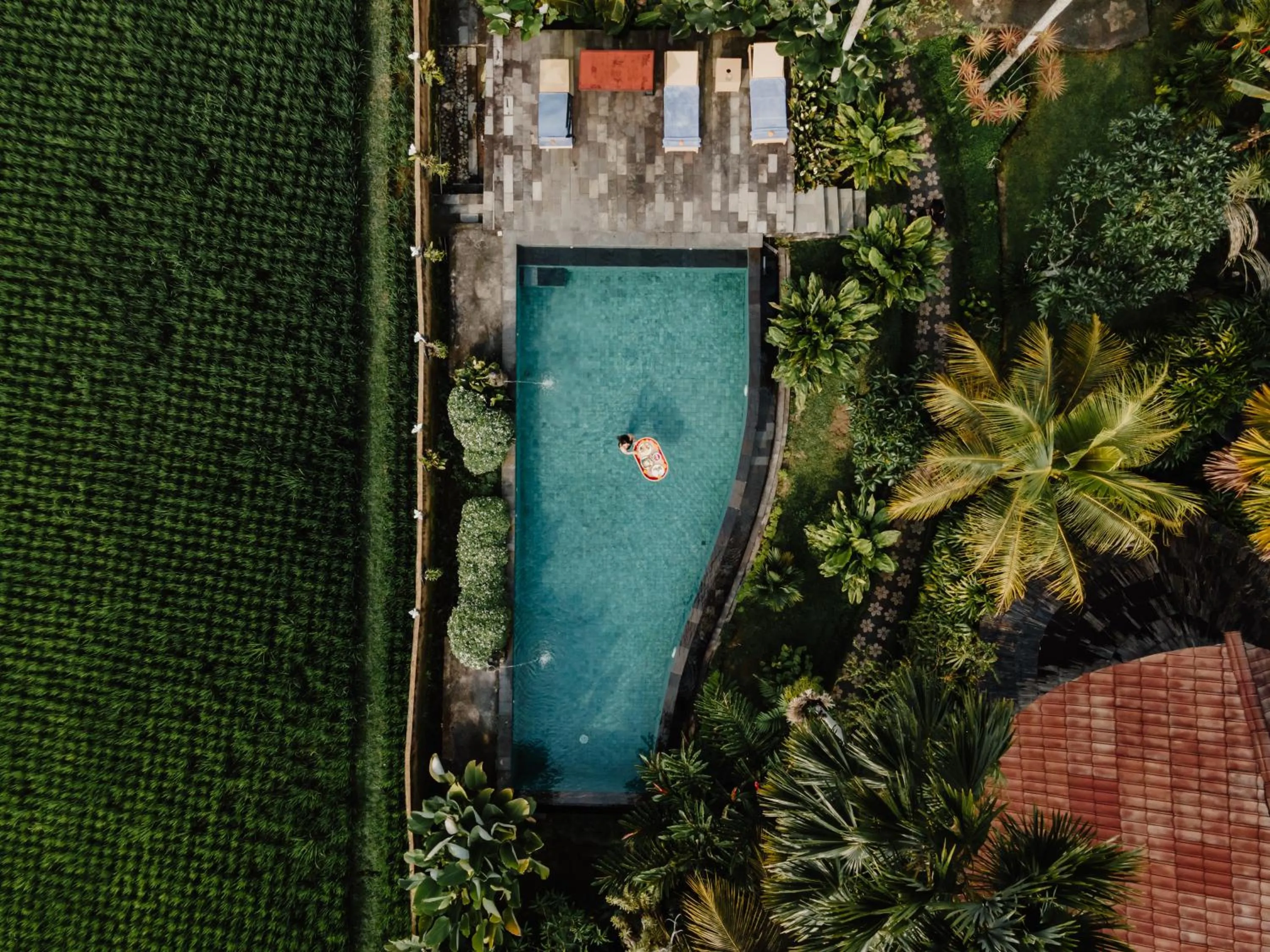 Day in Padi Bali Retreat