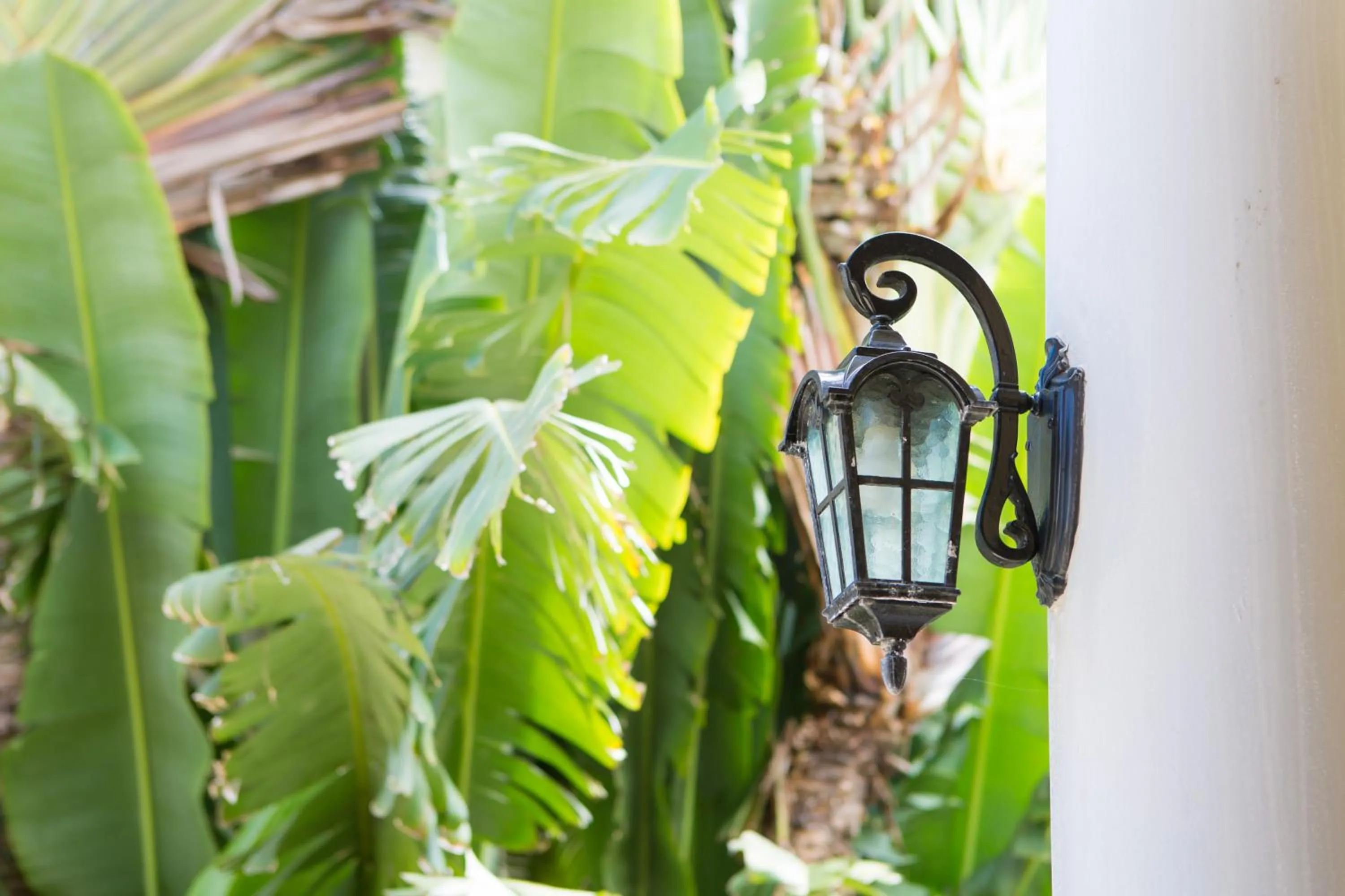 Patio in La Casa Panacea Okinawa Resort