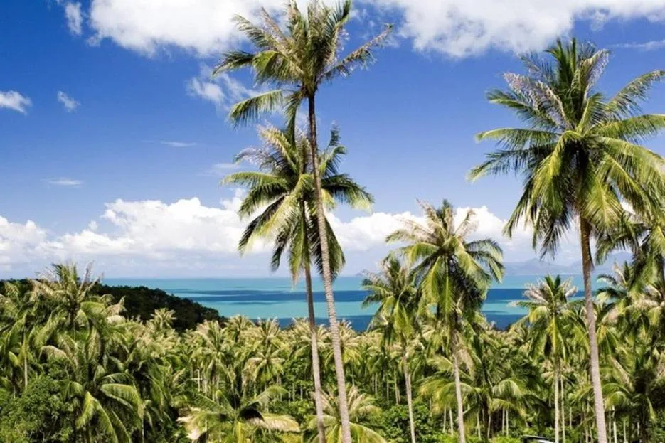Sea view in Kalara Gardens