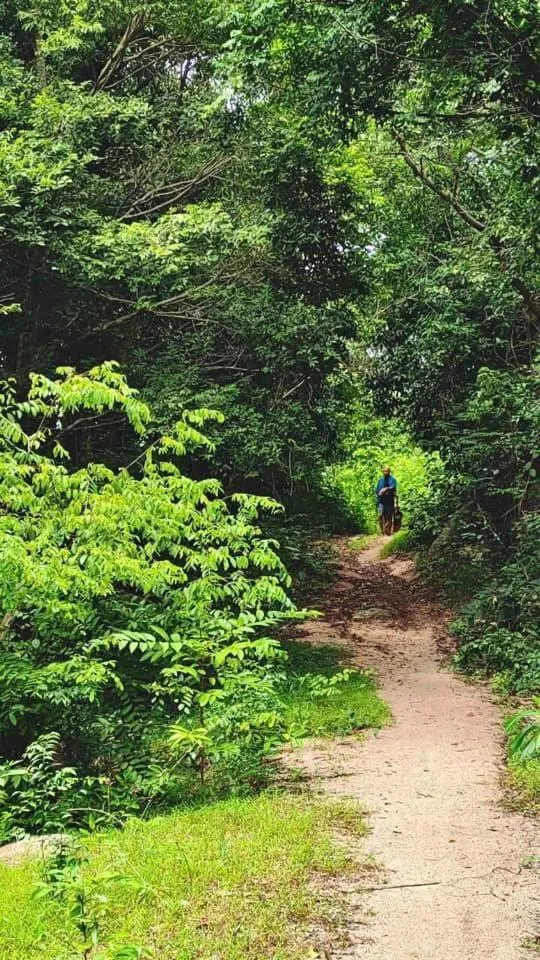 Hiking in The Dearly Koh Tao Hostel-PADI 5 Star Dive Resort