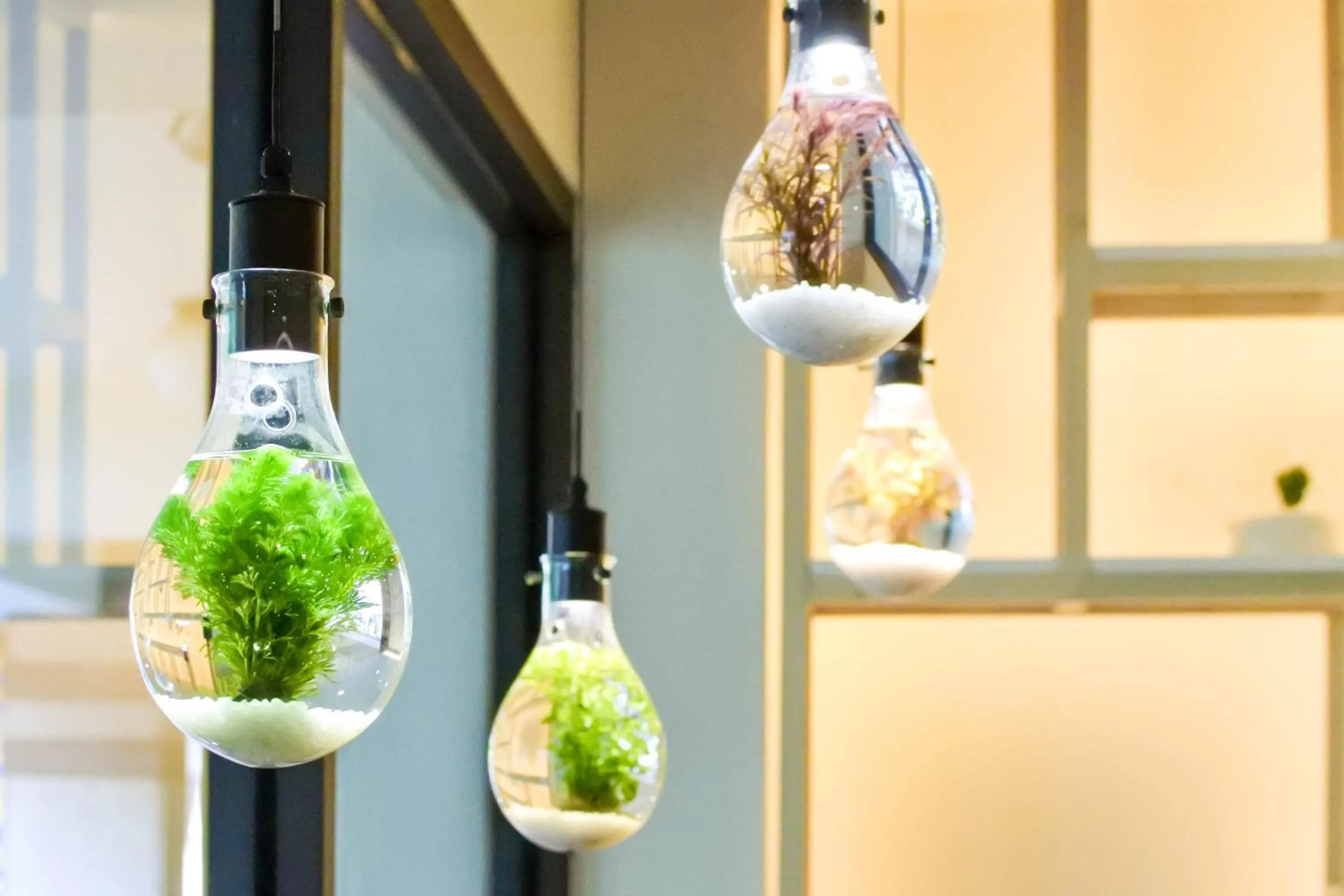 Lobby or reception in Green Hotel - West District