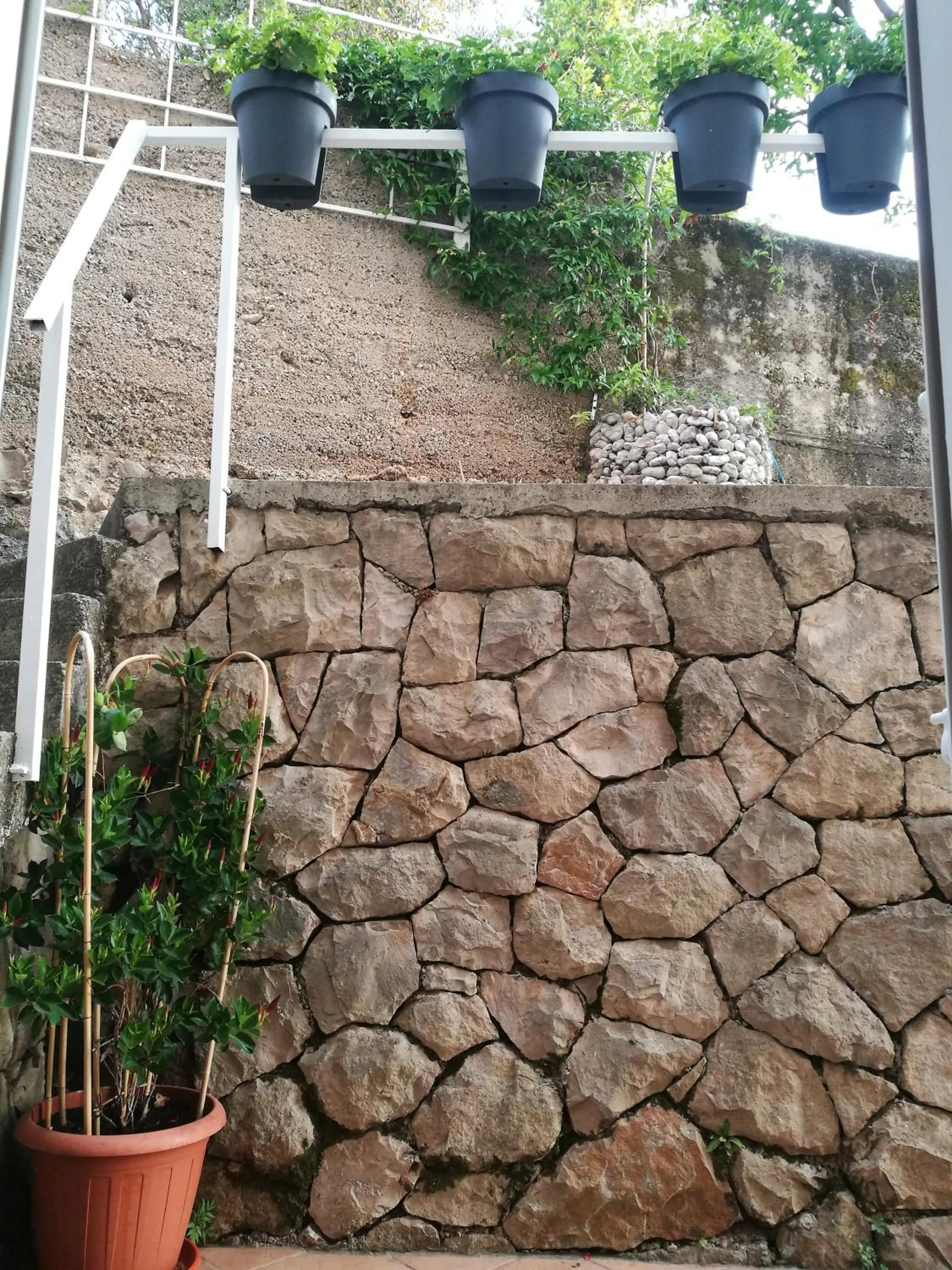 Garden in Villa Radovic