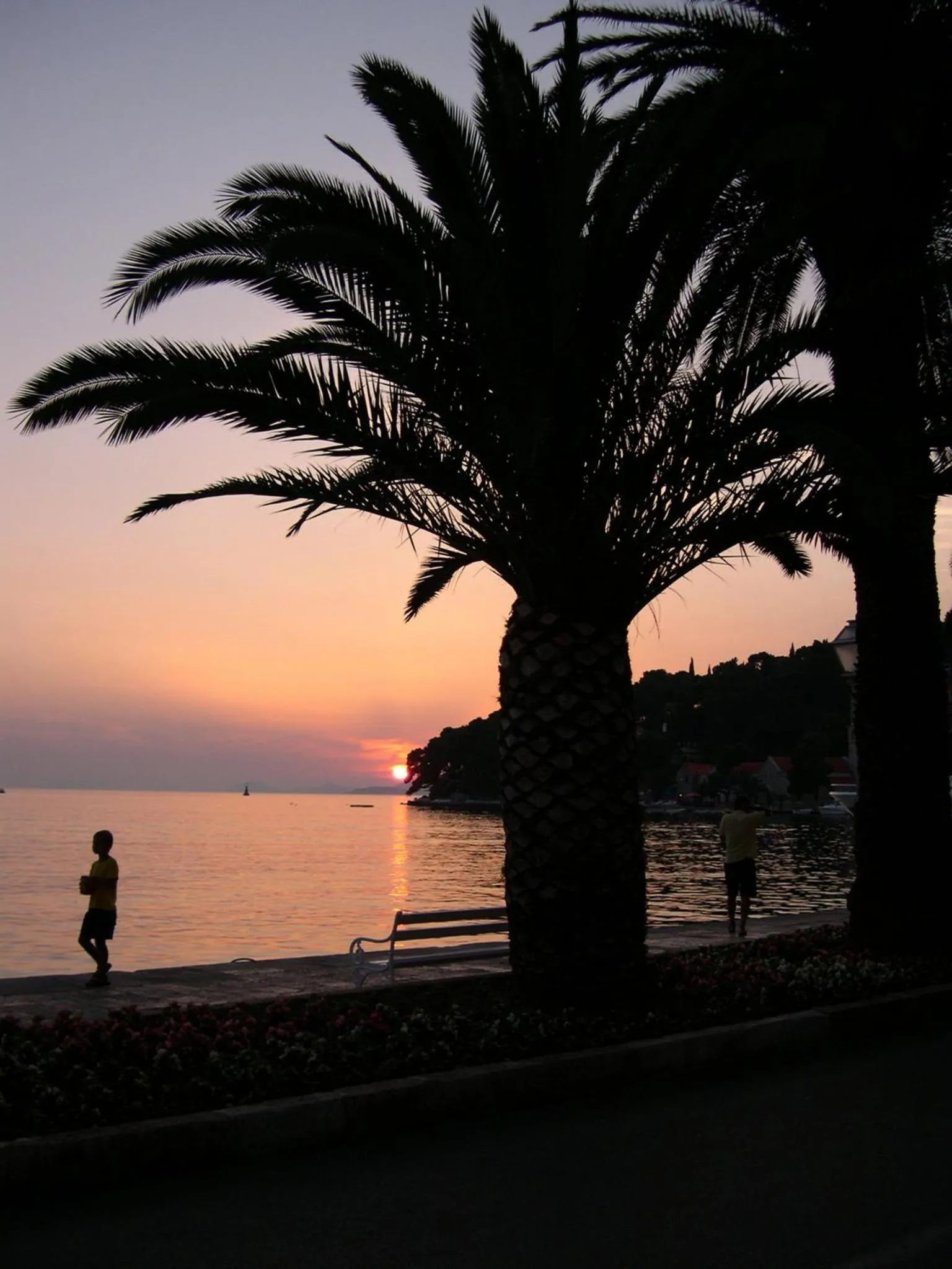 Restaurant/places to eat in Villa Radovic