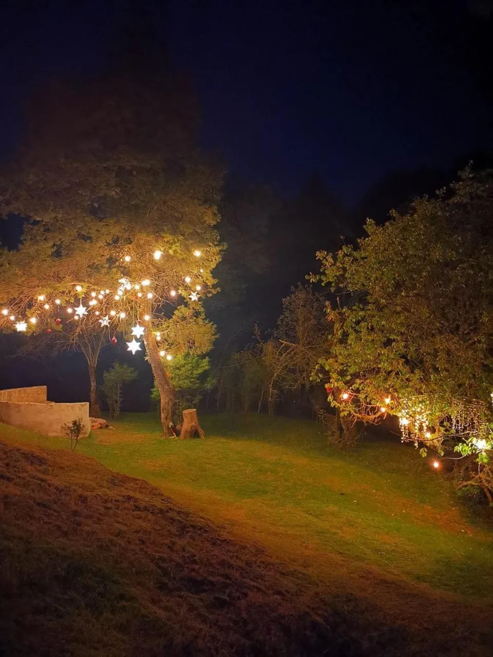 Luchita Mia Eco Cabañas Boutique