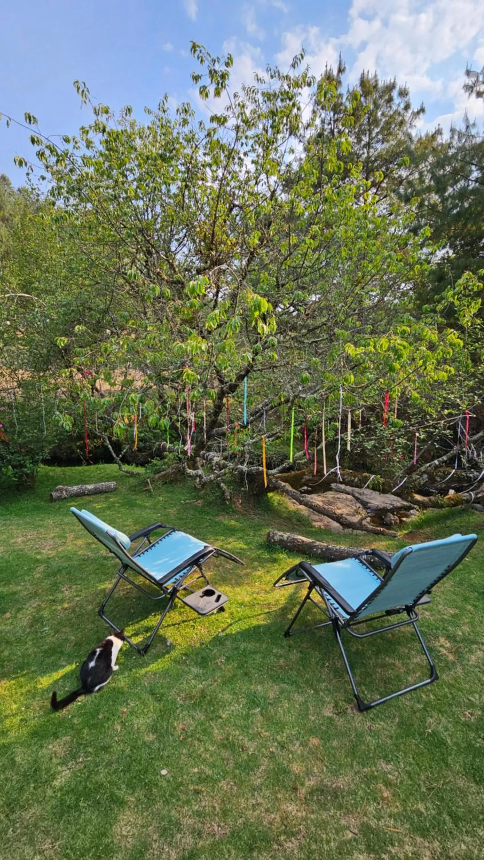 Luchita Mia Eco Cabañas Boutique