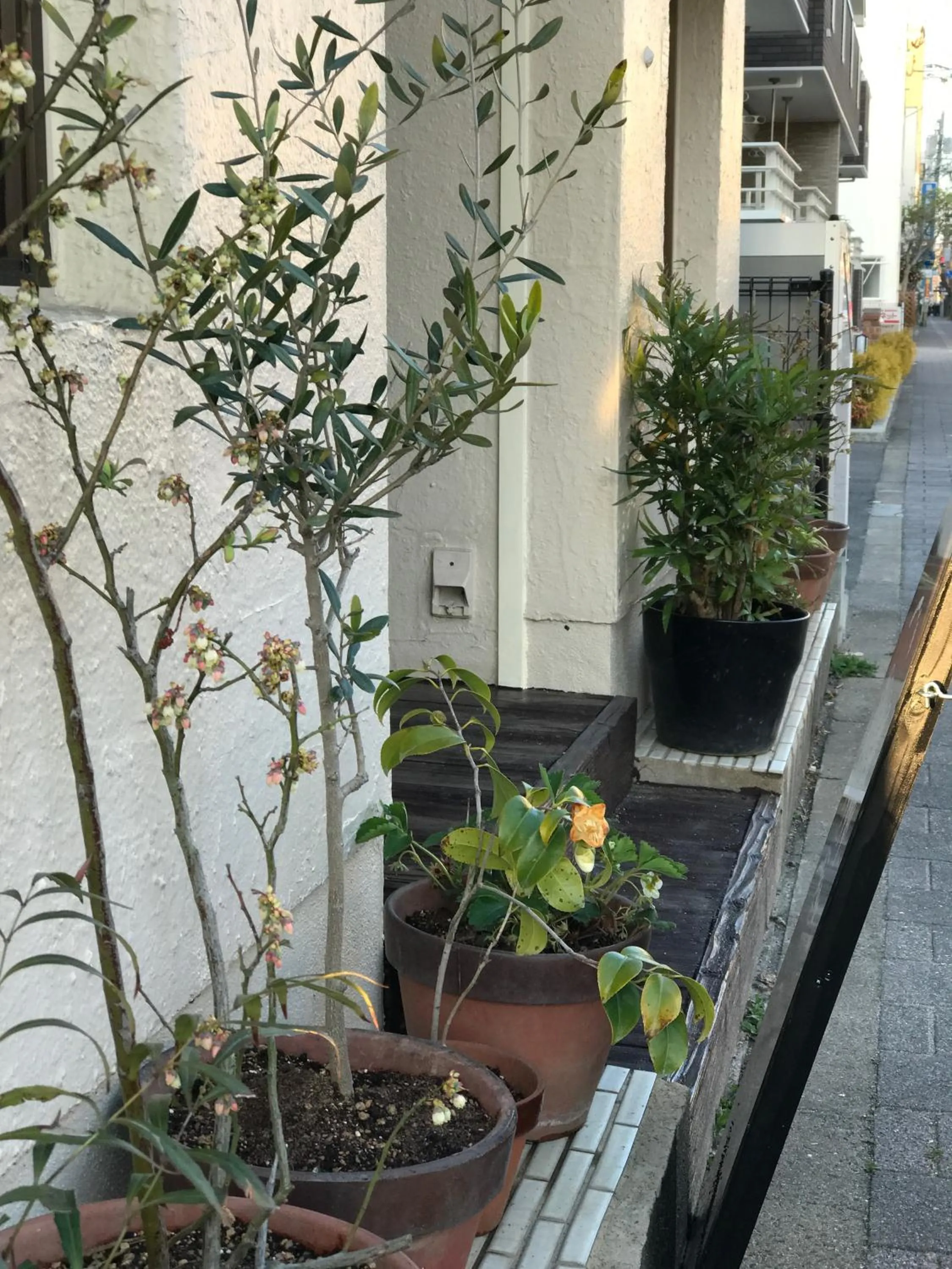 Property building in Saga International Guesthouse Hagakure