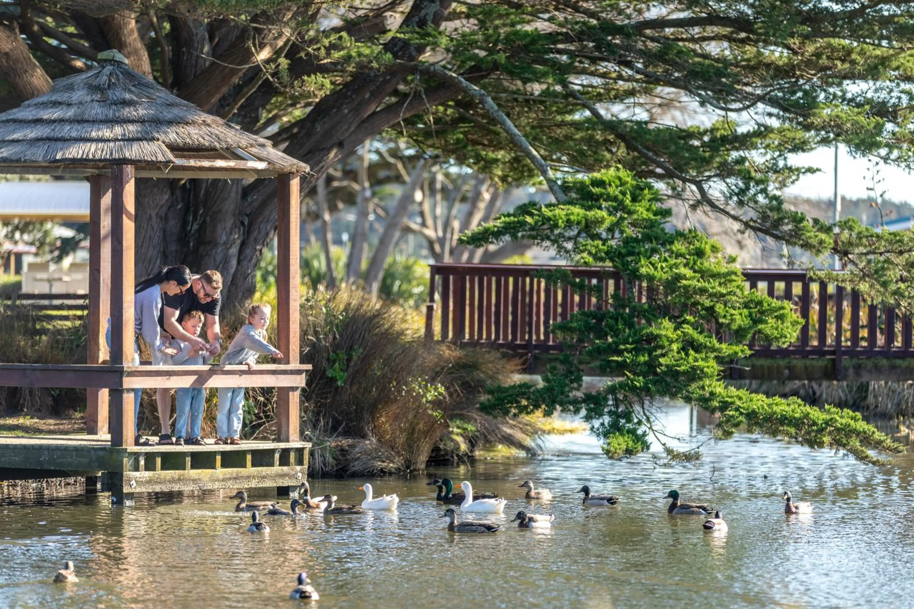 Activities in Foxton Beach Holiday Park