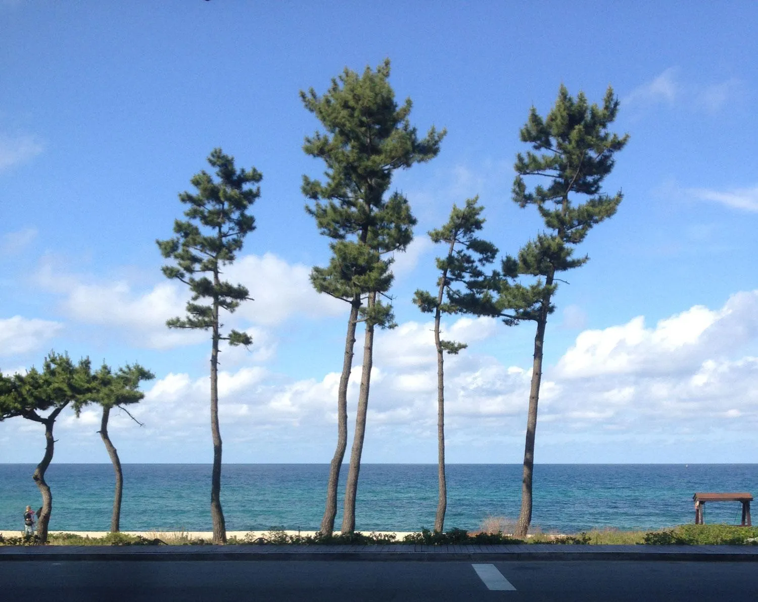 Beach in Gyeongpo Soo Hotel