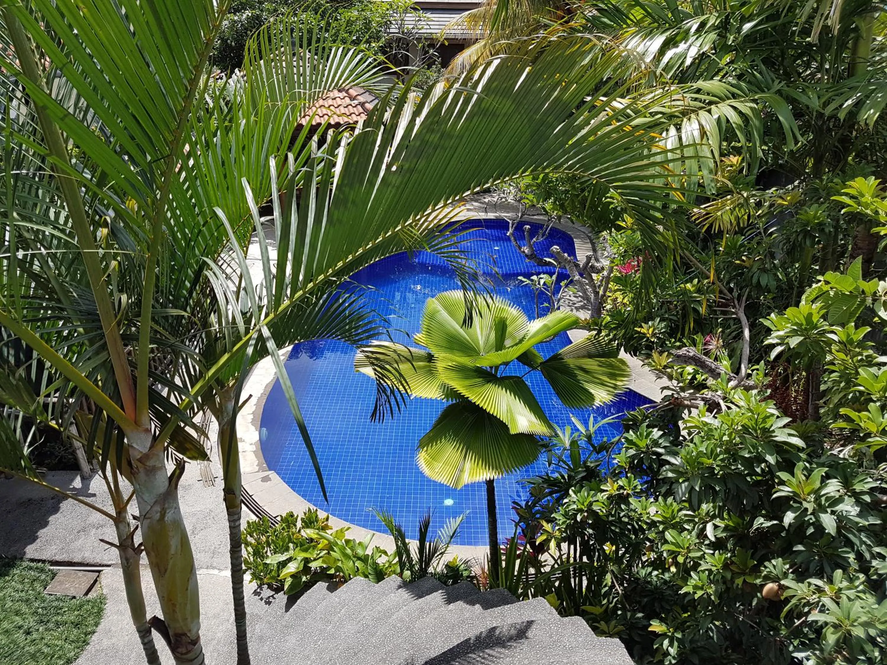 Swimming pool in Jos & Hanny Homestay