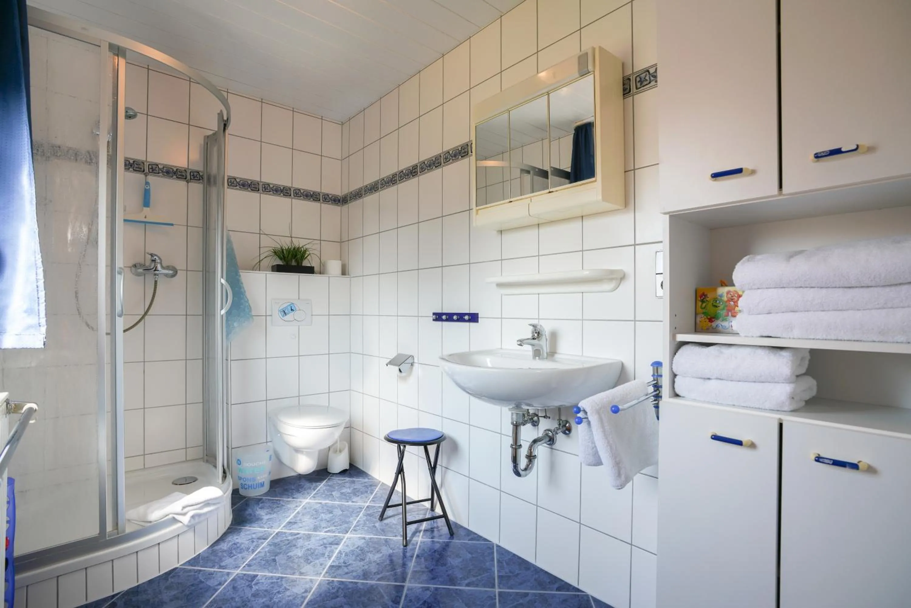 Shower in Ferienhaus Daheim