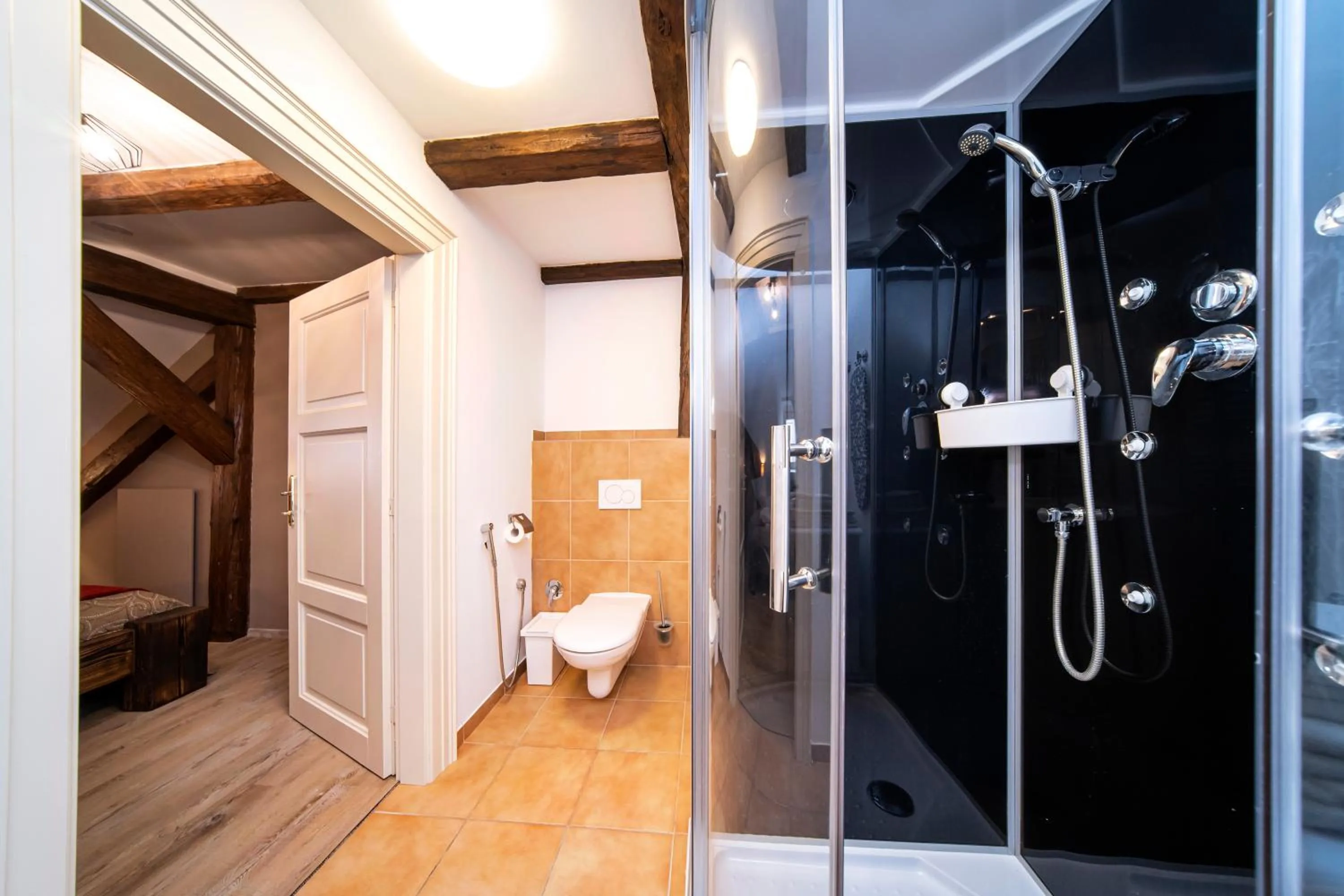 Shower in Old Town - Aparthotel Michalska