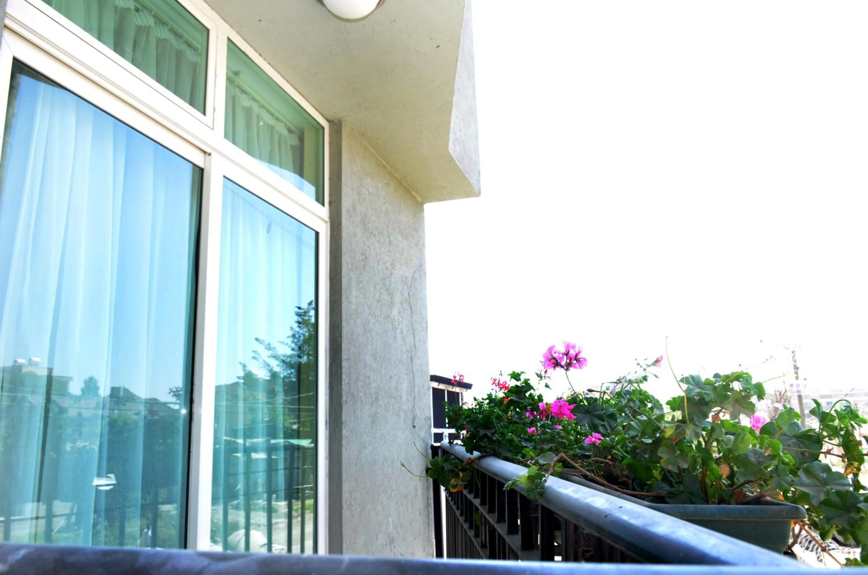 Balcony/Terrace in Melodie Hotel