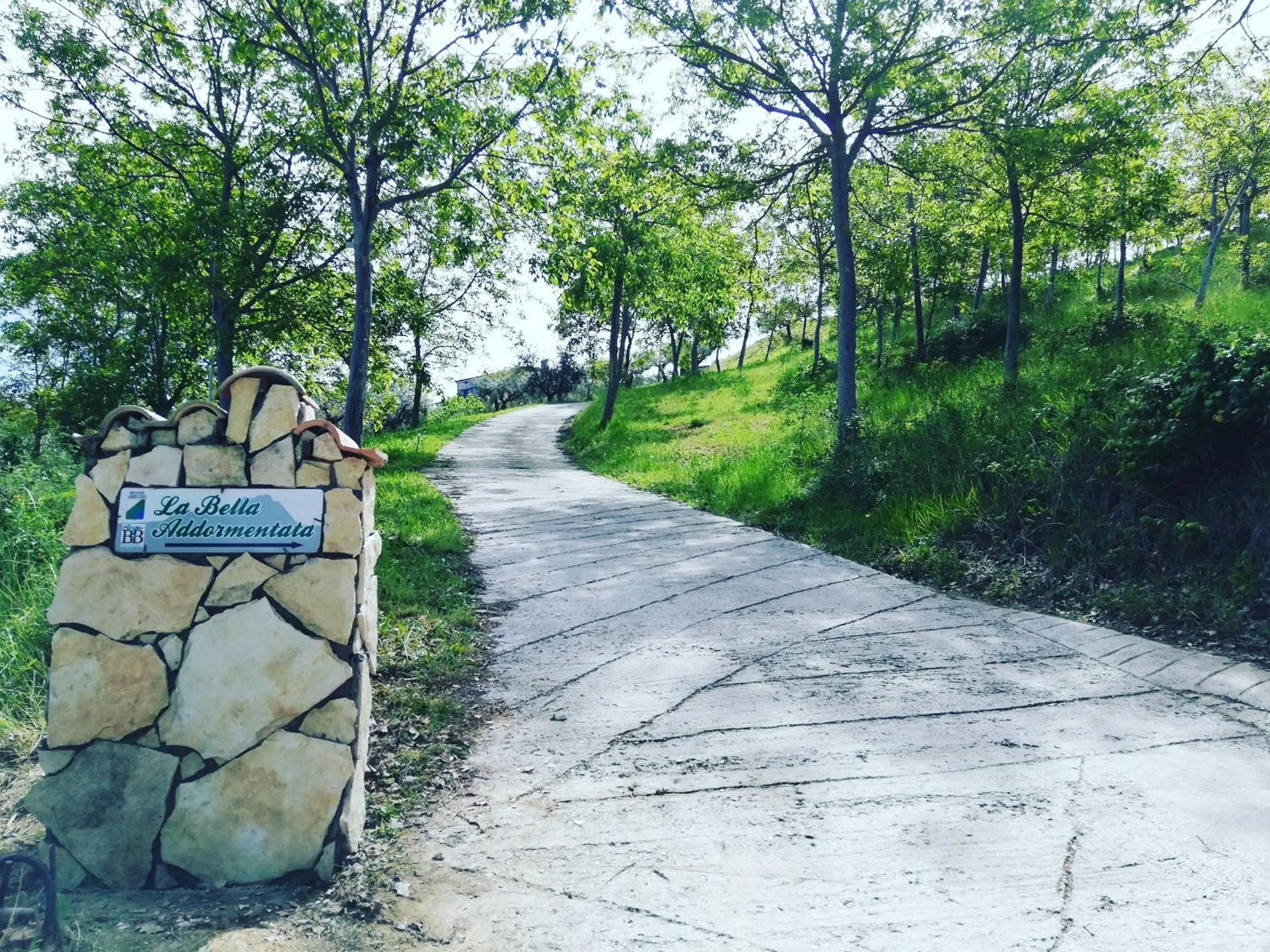Property logo or sign in La Bella Addormentata