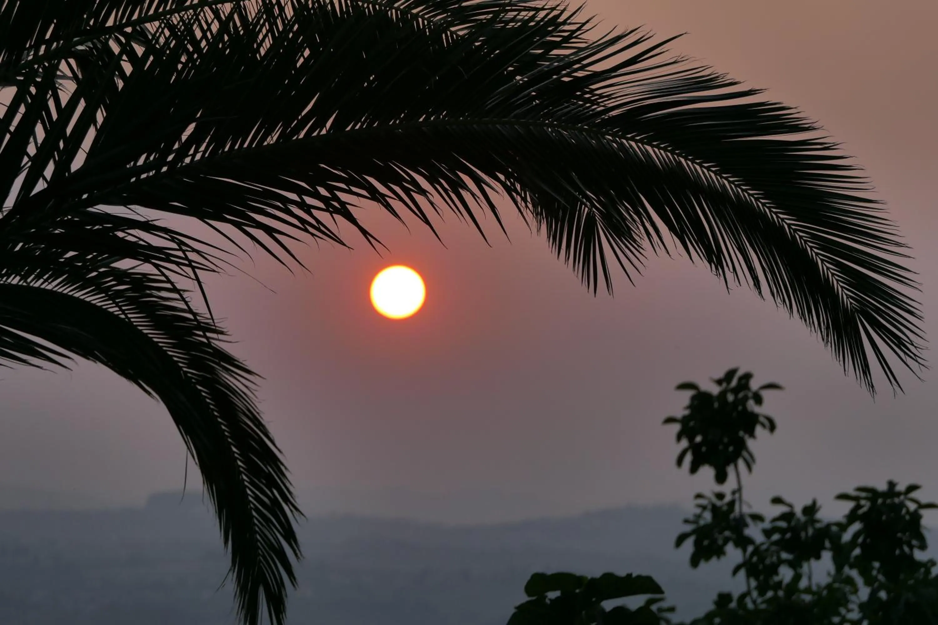 Garden in La Bella Addormentata