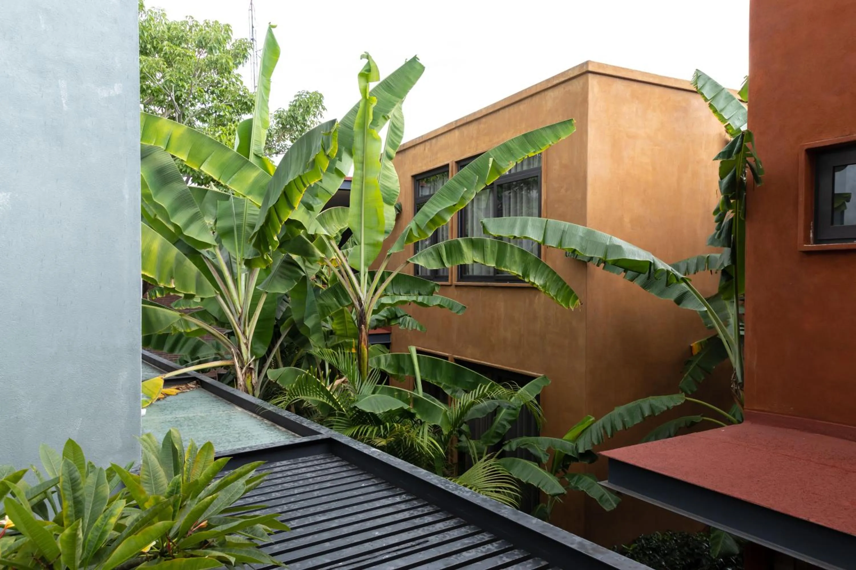 Garden view in El Callejón Hotel Boutique
