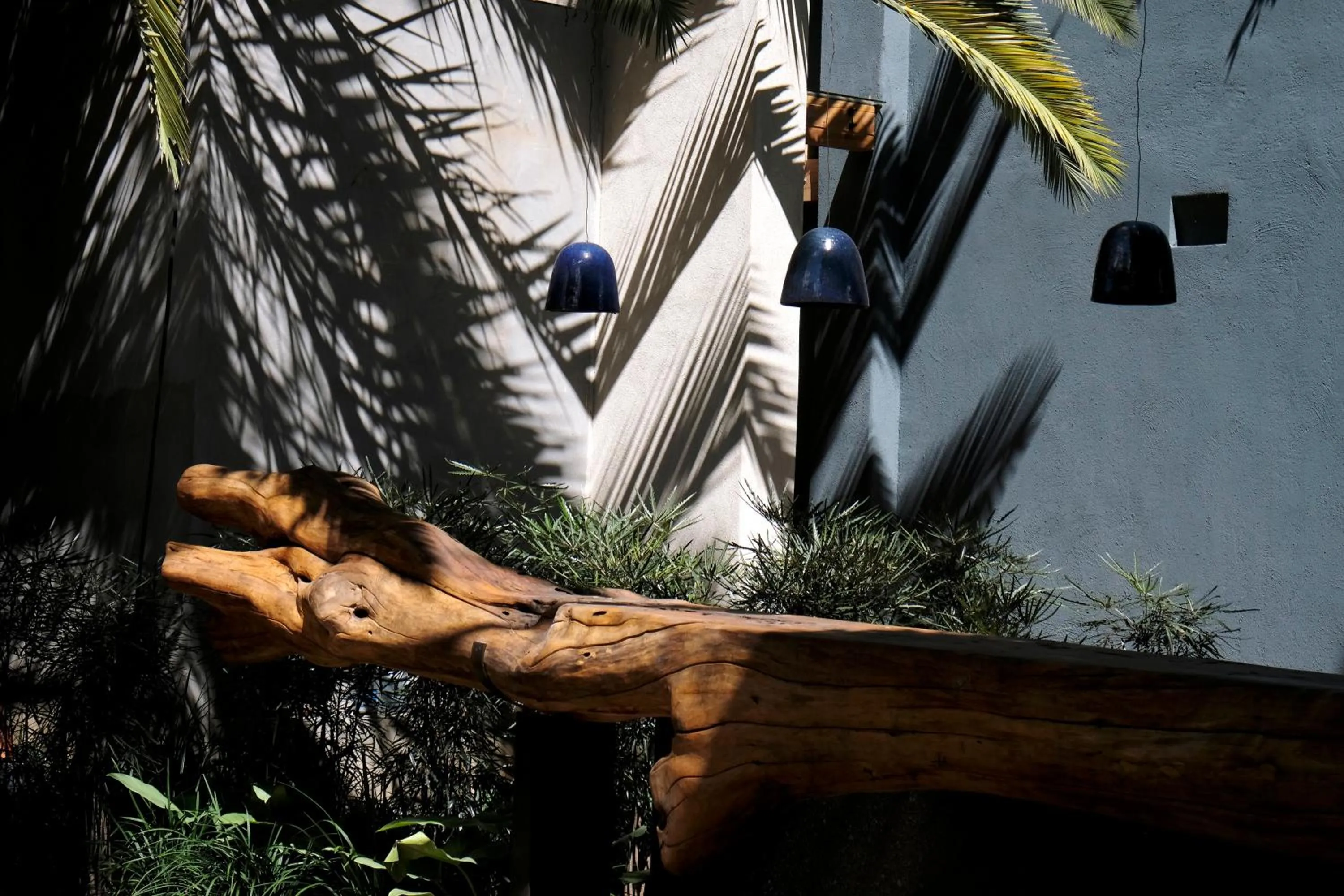 Garden in El Callejón Hotel Boutique