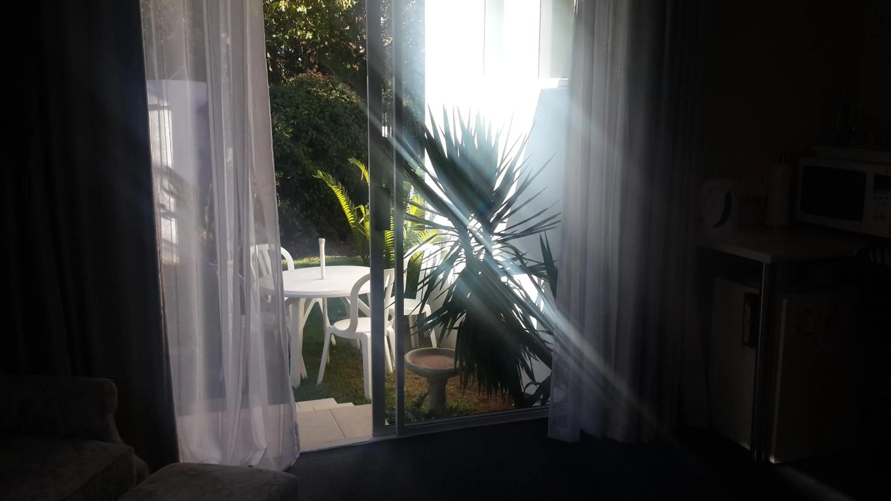 Garden in R & R's Retreat