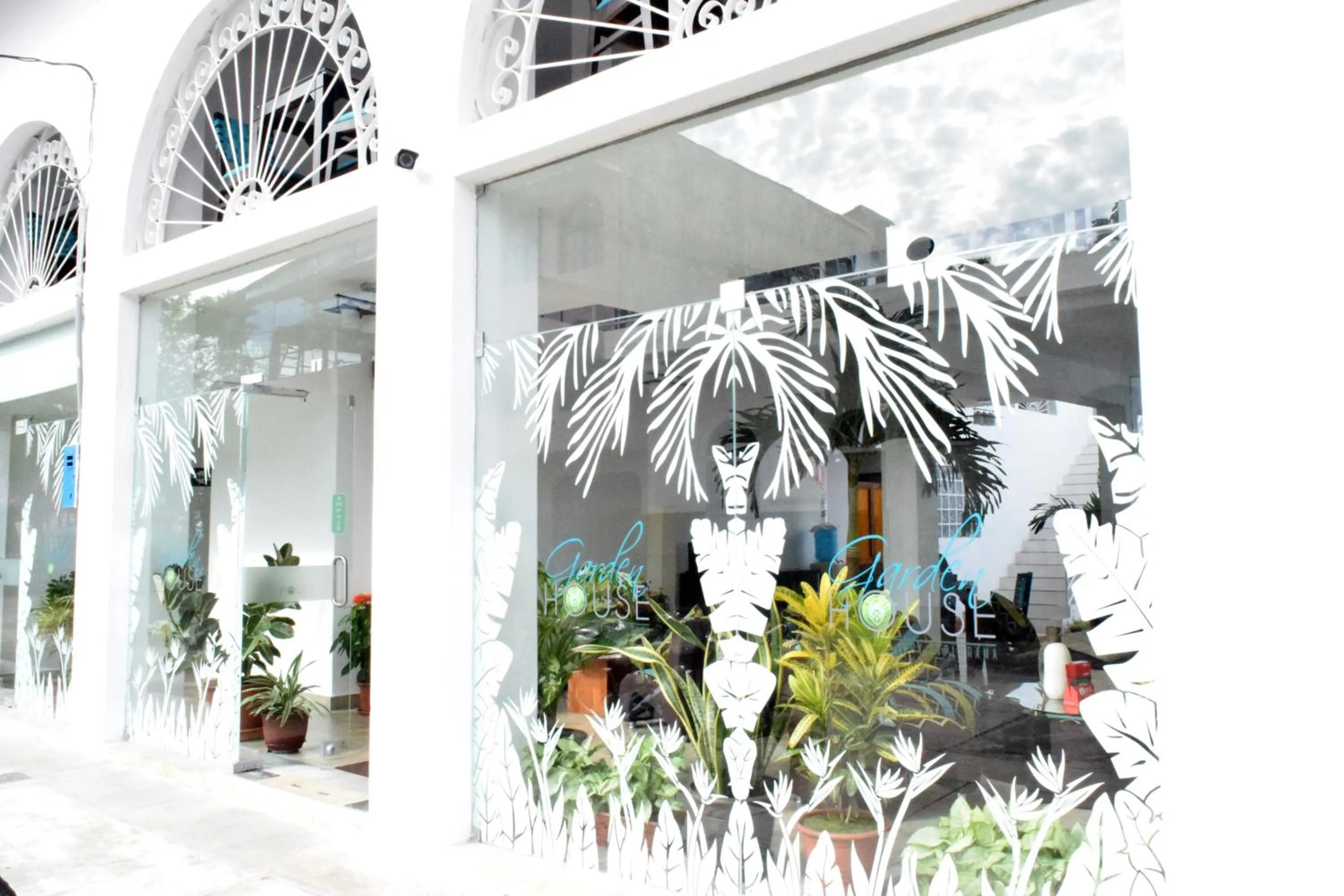 Property building in Hotel Jungle House