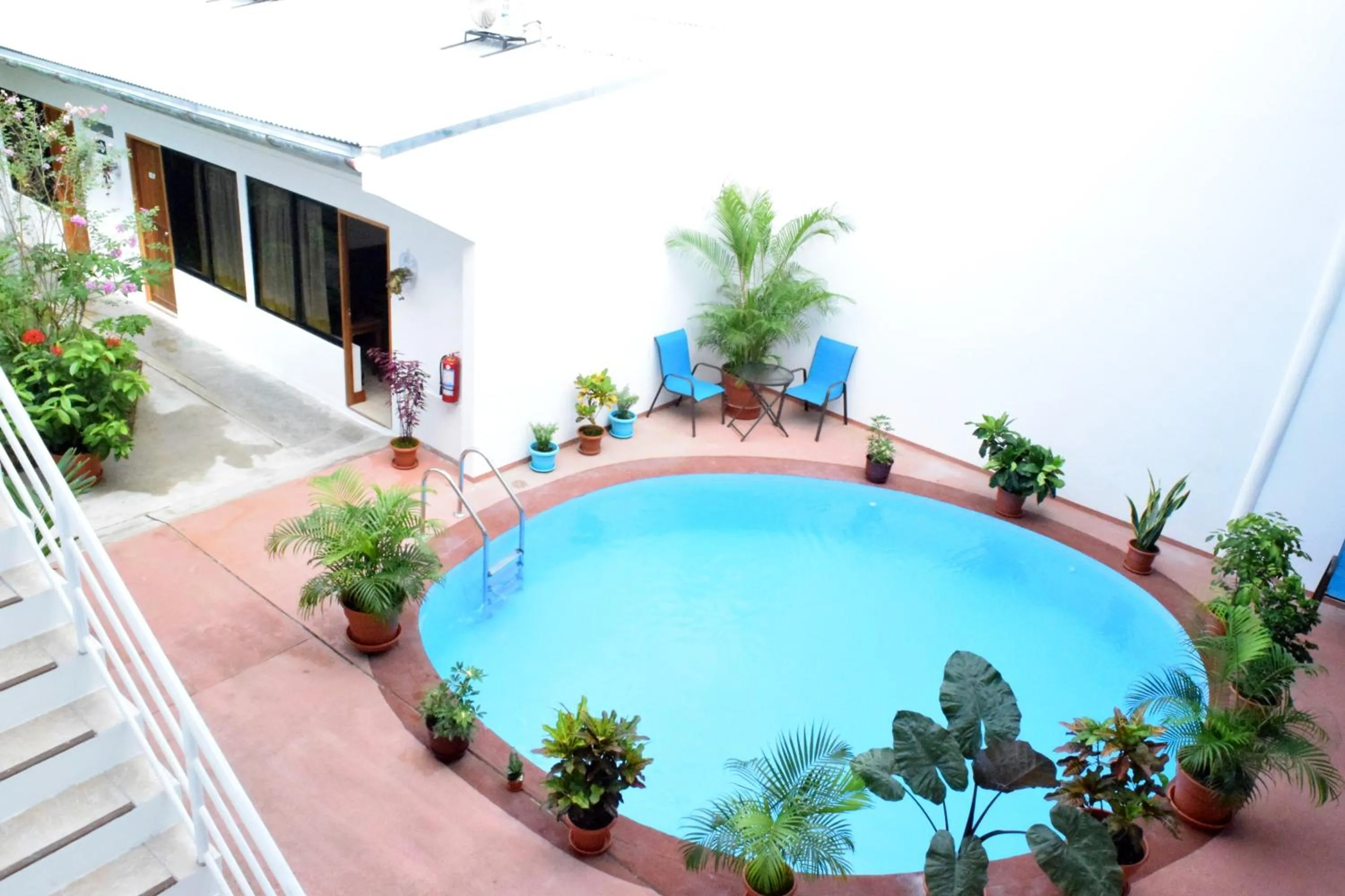 Swimming pool in Hotel Jungle House