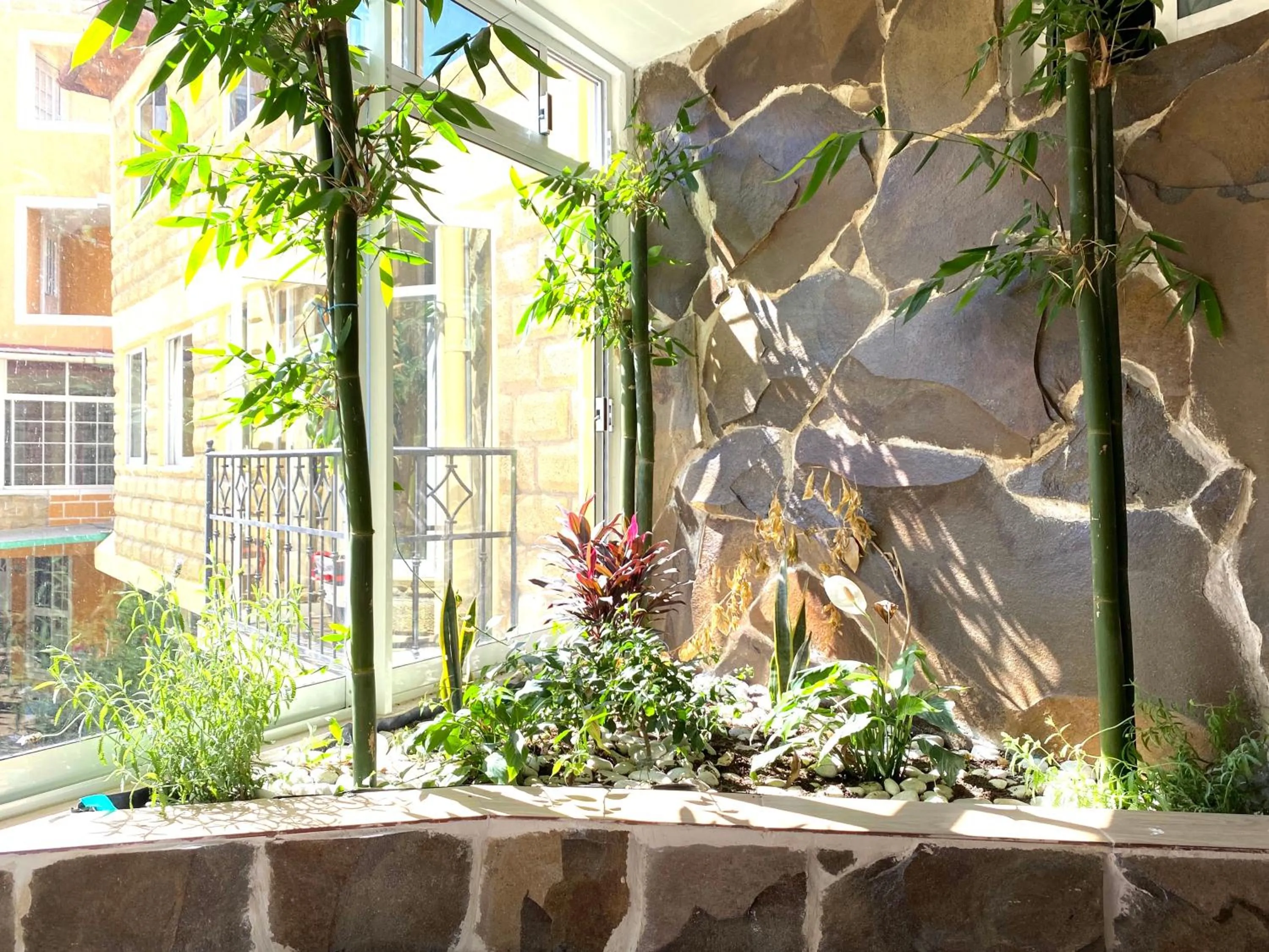 Garden in Hotel & Suites Cerro Roj0