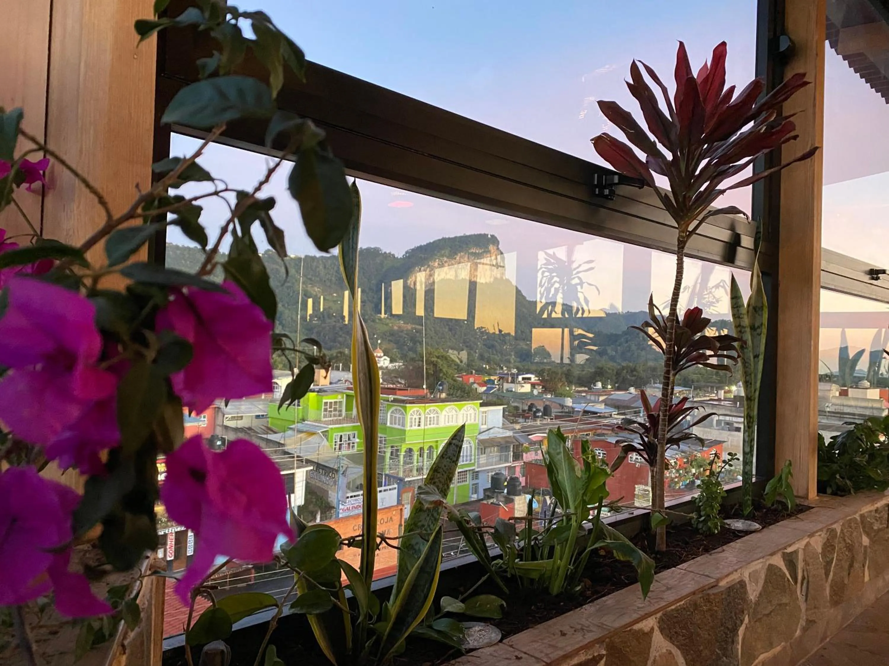 Restaurant/places to eat in Hotel & Suites Cerro Roj0