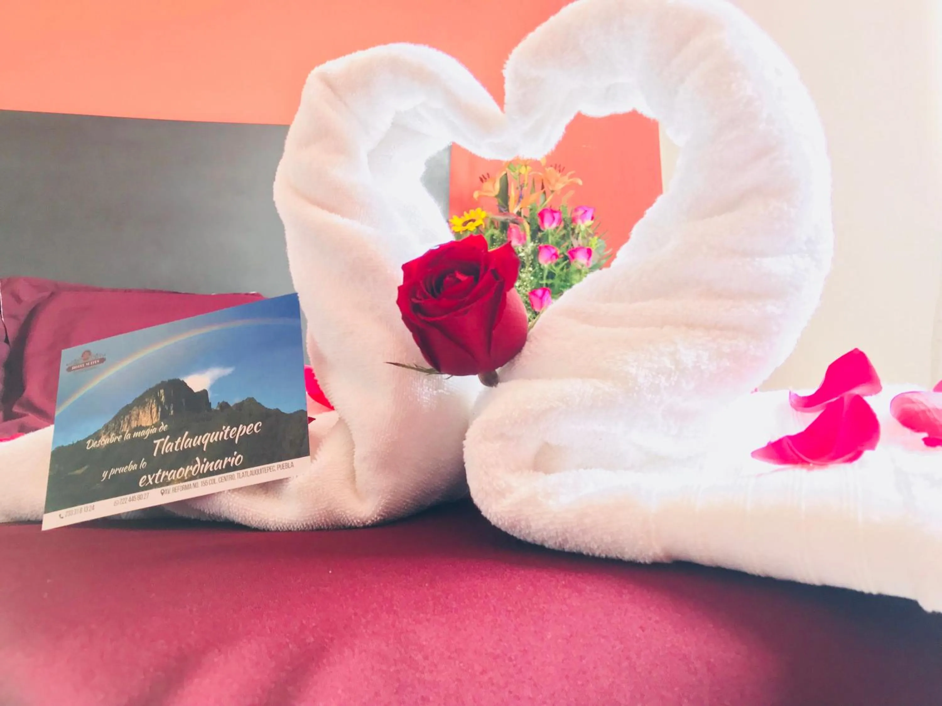 Bed in Hotel & Suites Cerro Roj0