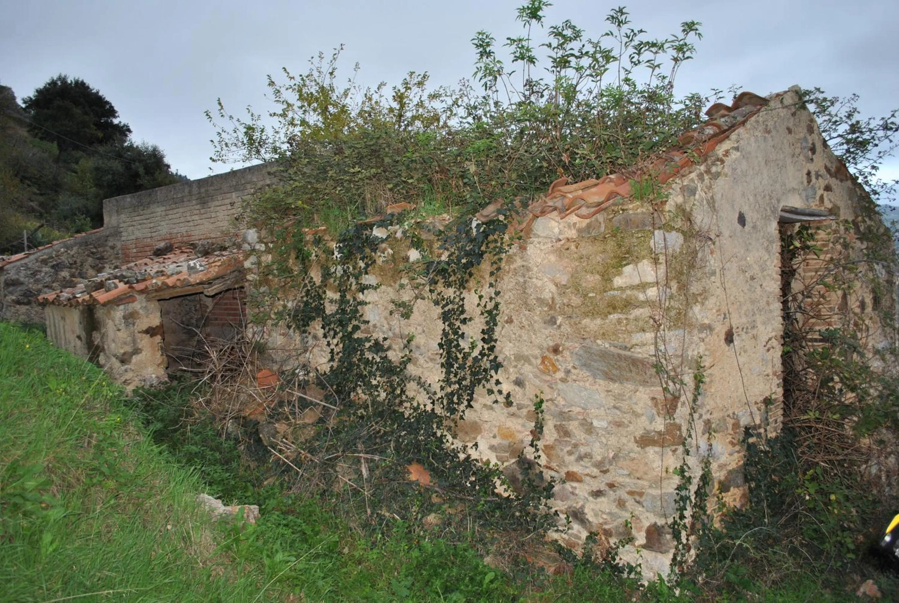 Natural landscape in Bed & Breakfast StudioArcodia-