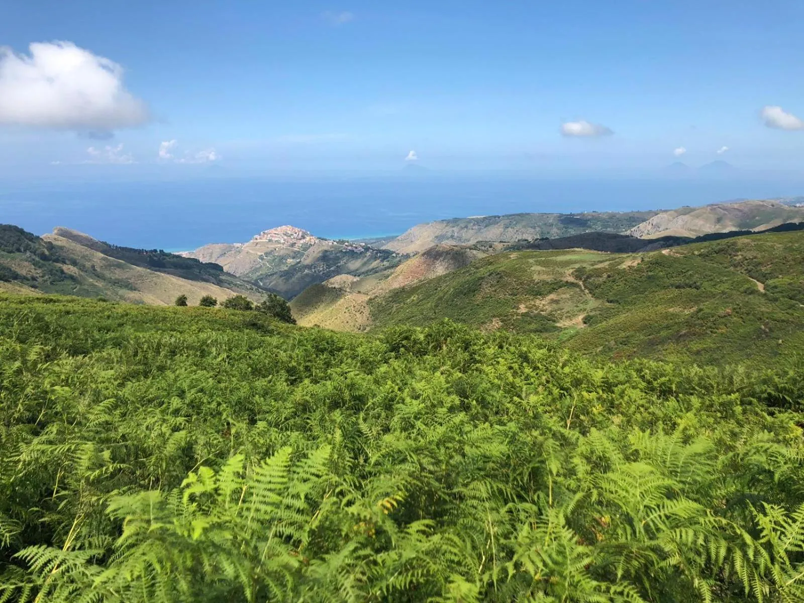 Bed & Breakfast StudioArcodia-