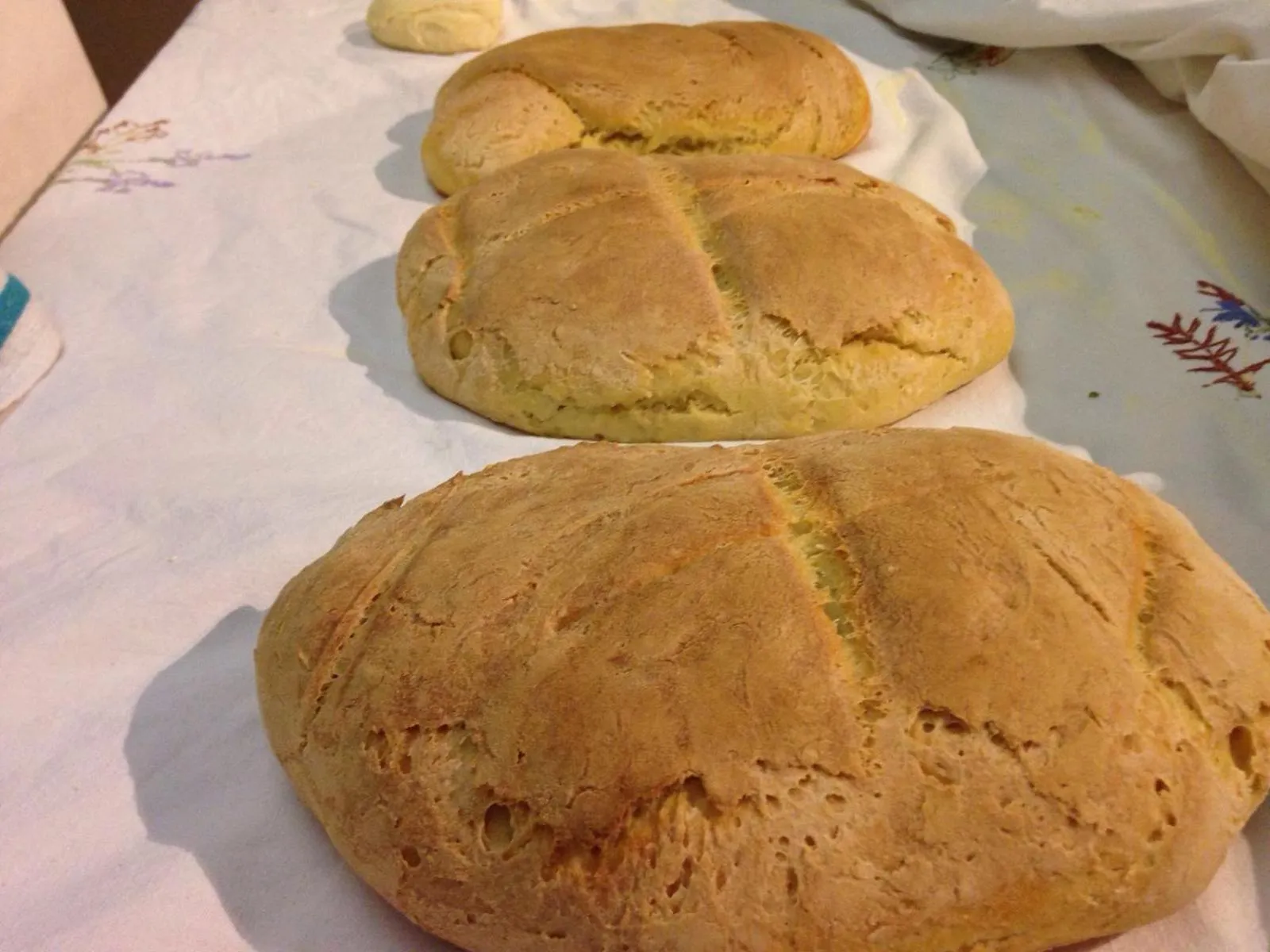 Food and drinks in Bed & Breakfast StudioArcodia-